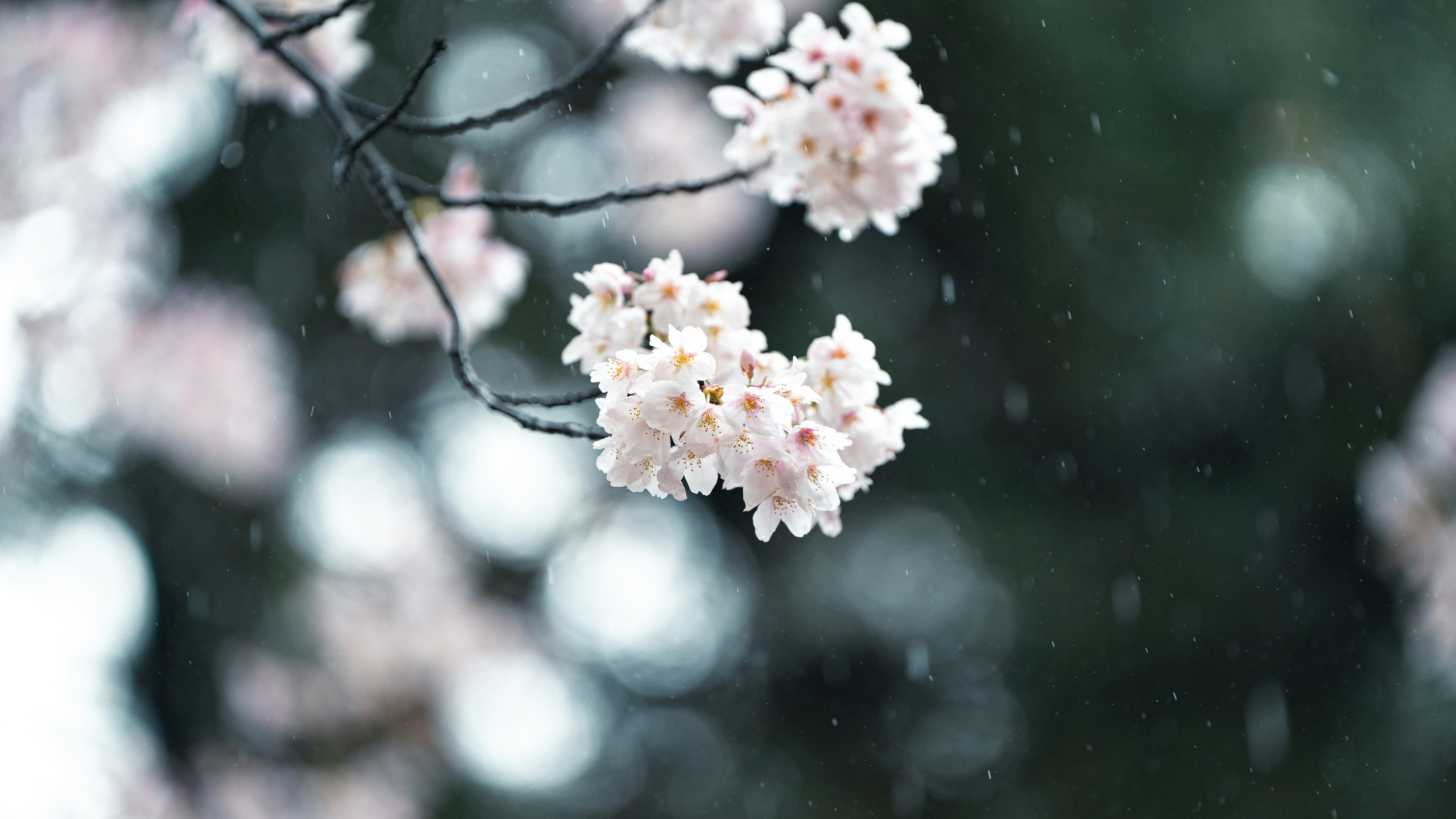 Photo by hyewonphotography