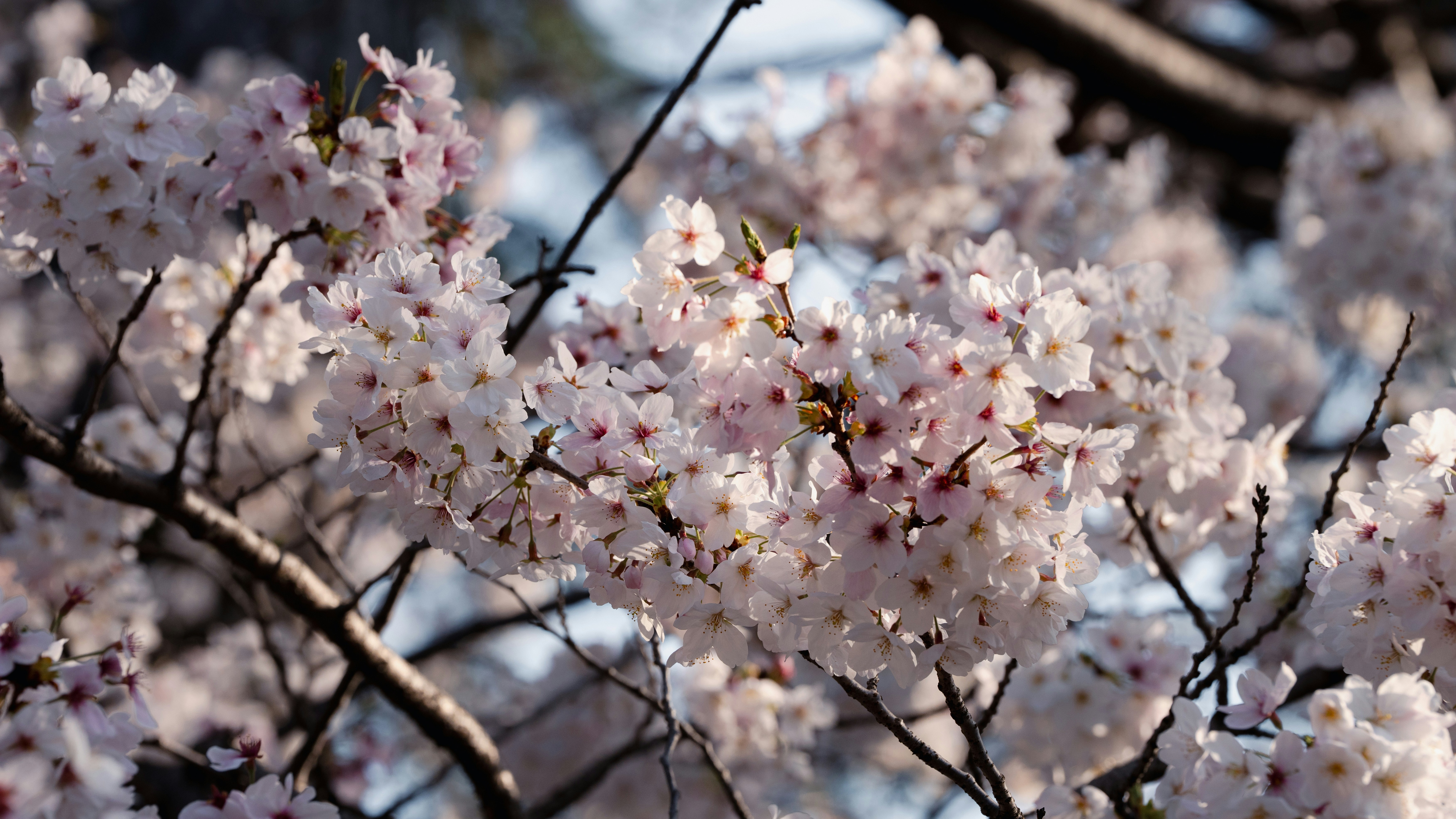 Photo by hyewonphotography