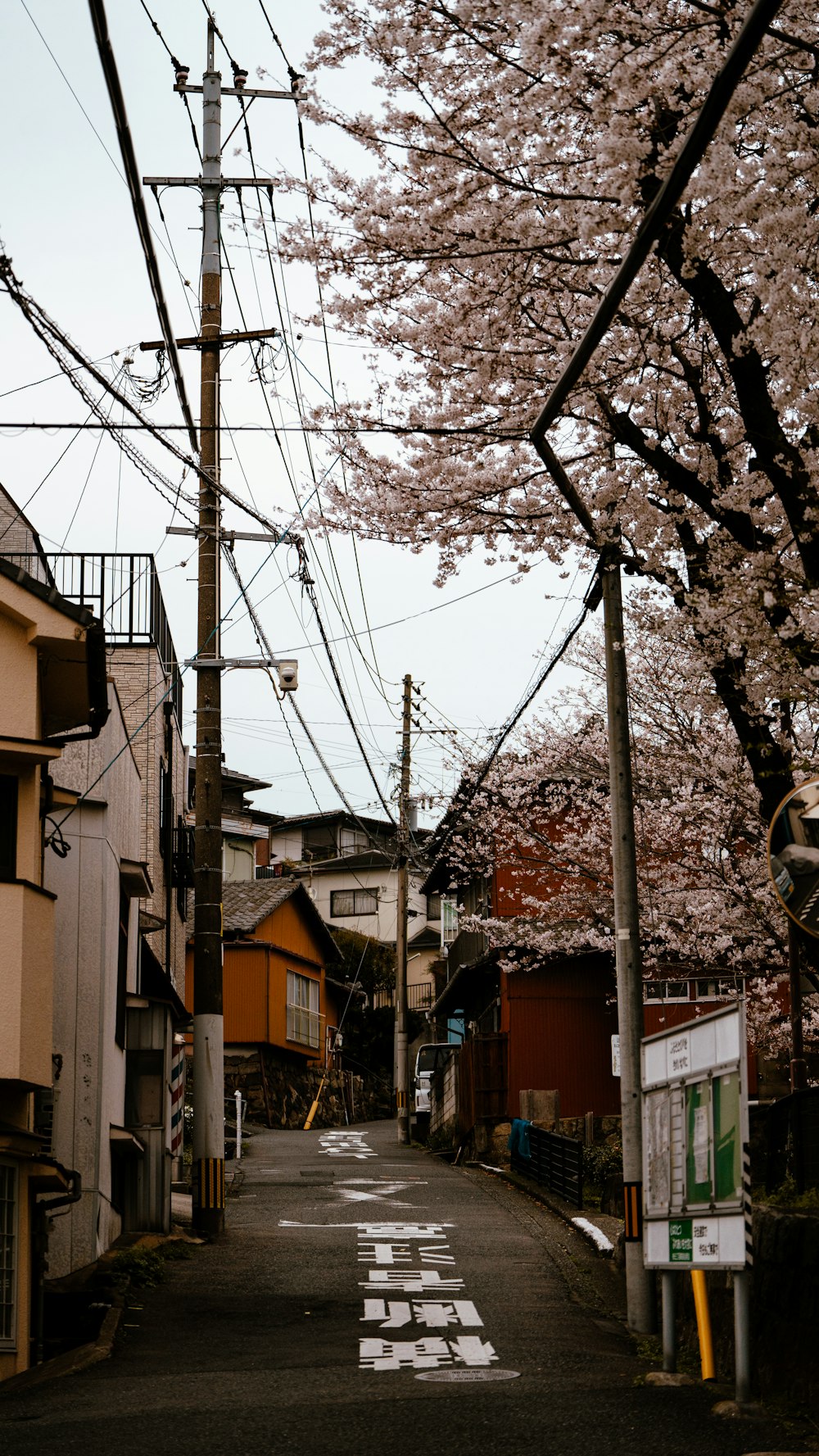 a narrow street lined with houses and cherry blossom trees