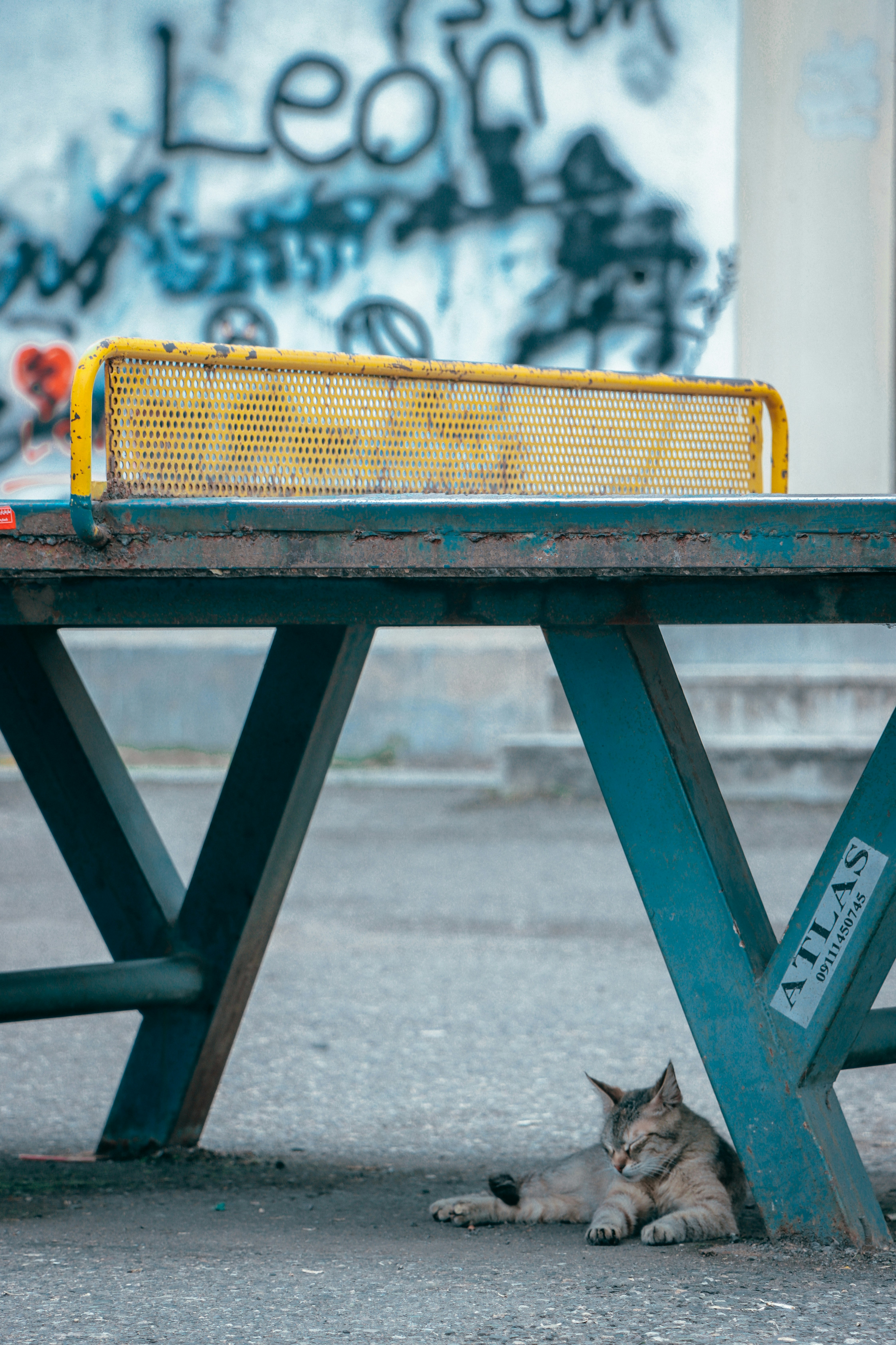 Photo by bita_eskandari