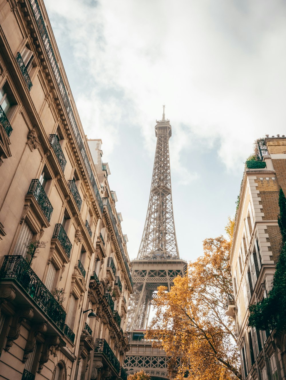 the eiffel tower towering over the city of paris