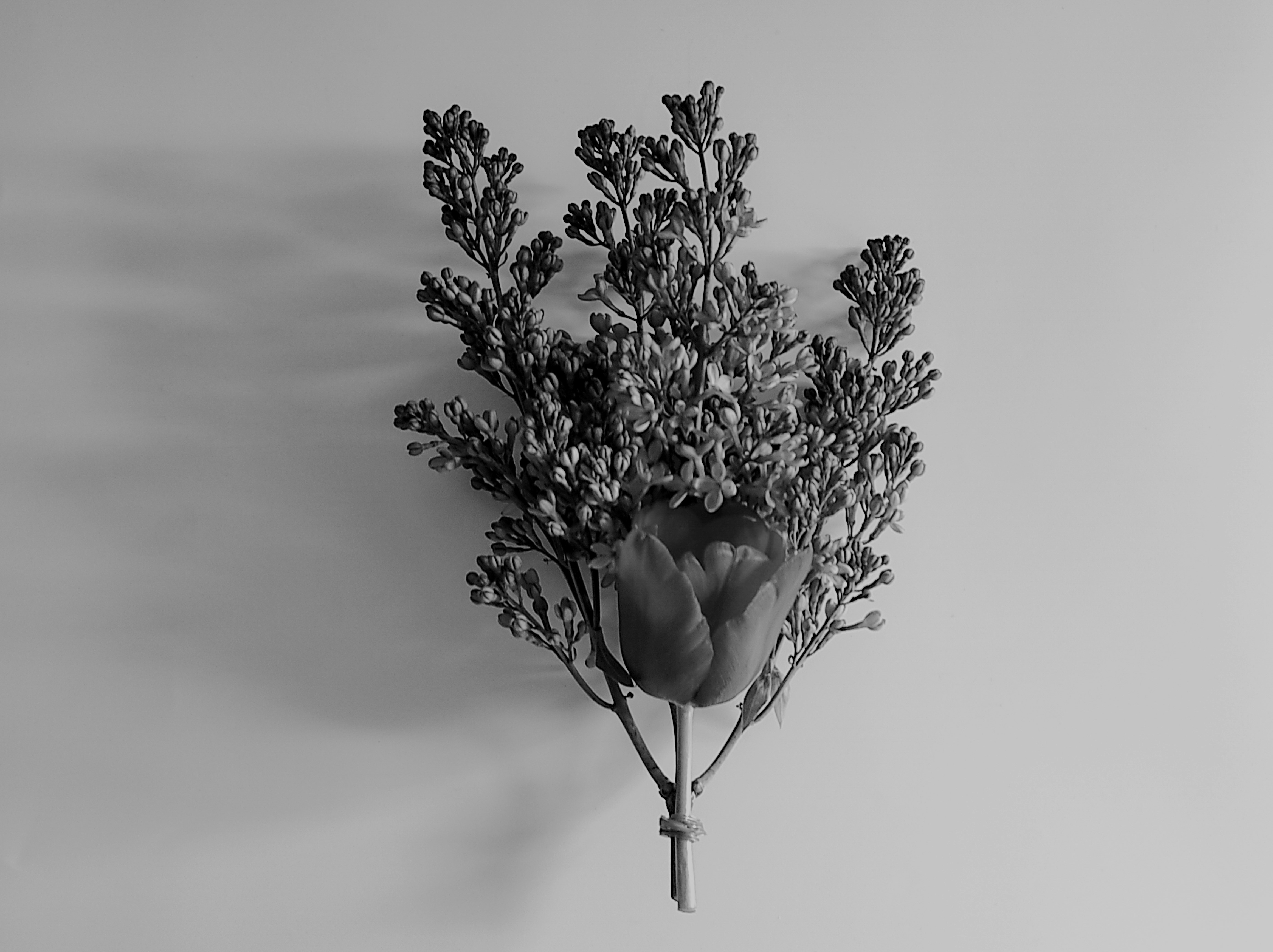 Photo by daniela_e_photography