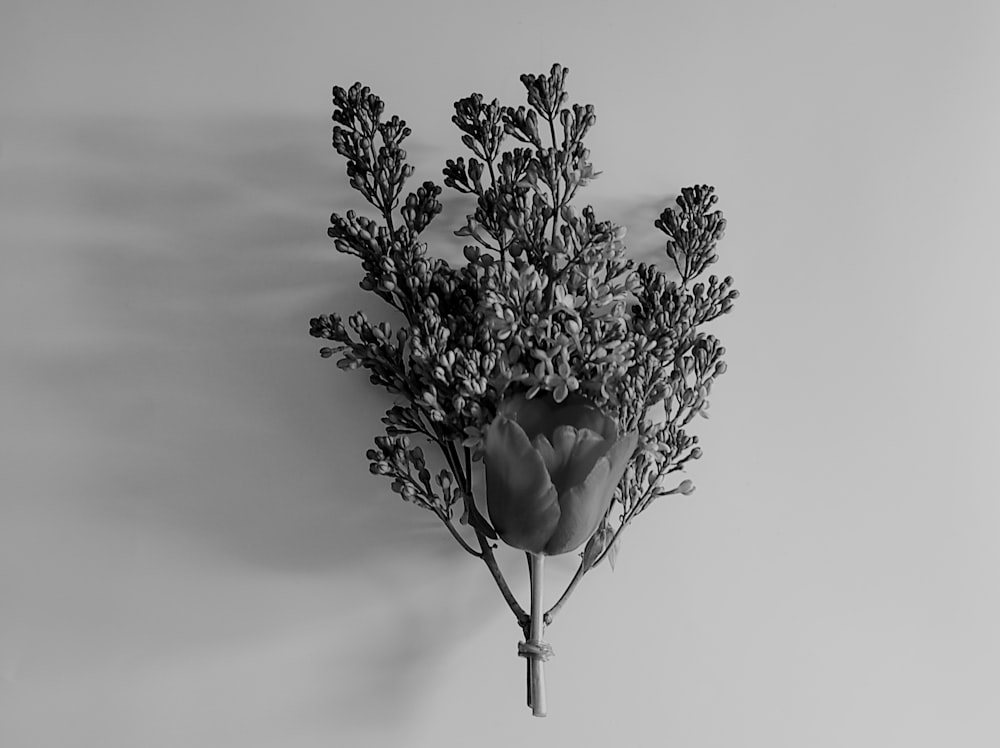 a black and white photo of a bunch of flowers