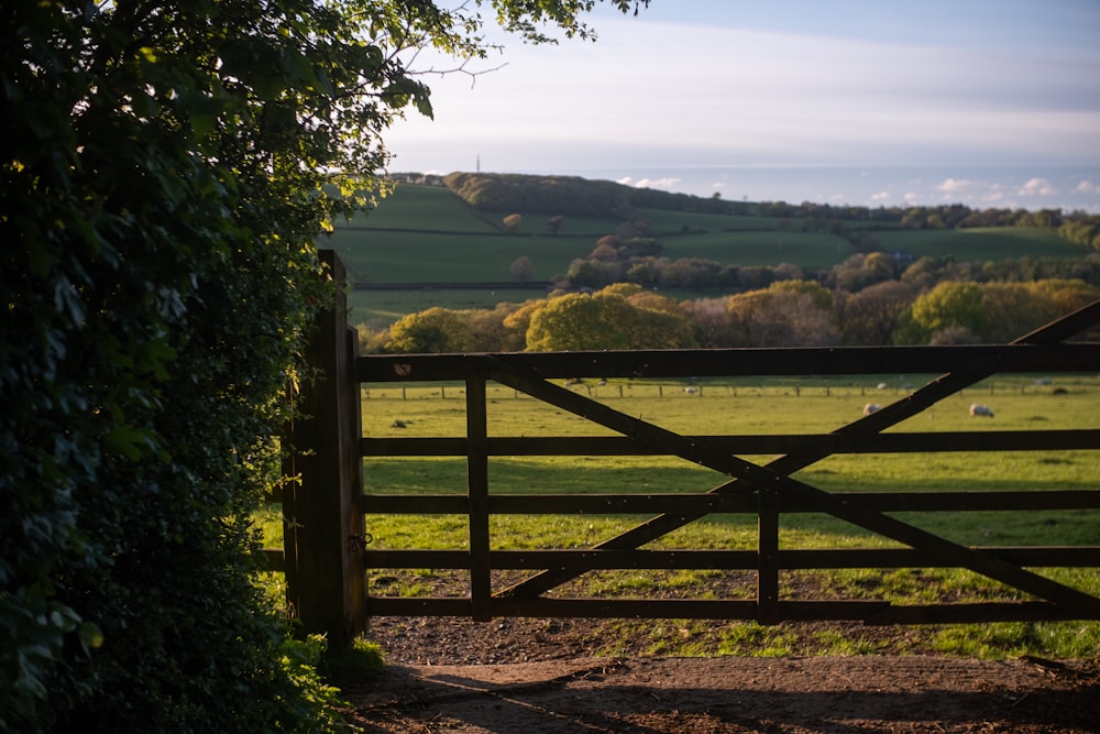 a gate in the middle of a lush green field