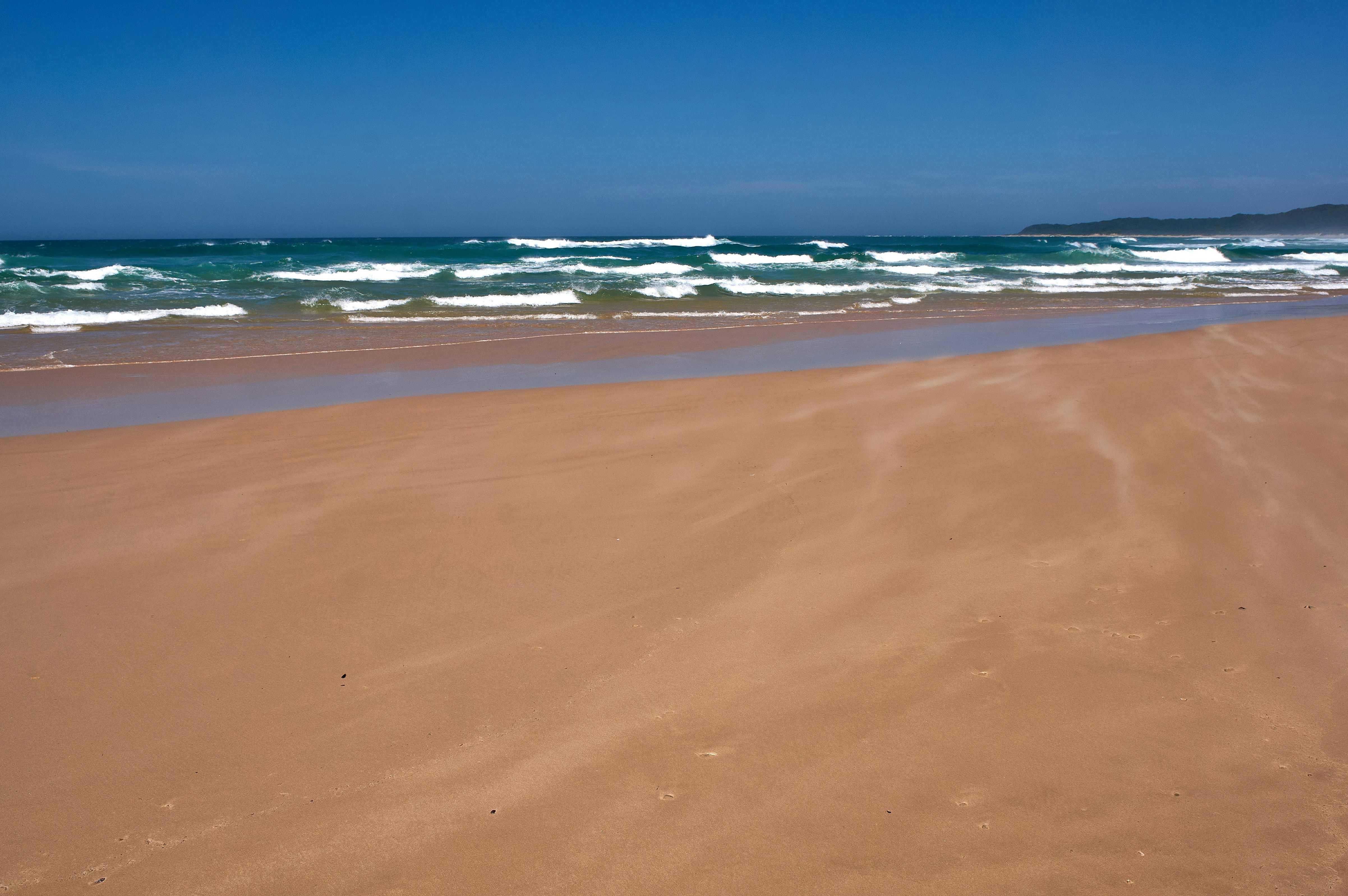 Photo by wolfgang_hasselmann