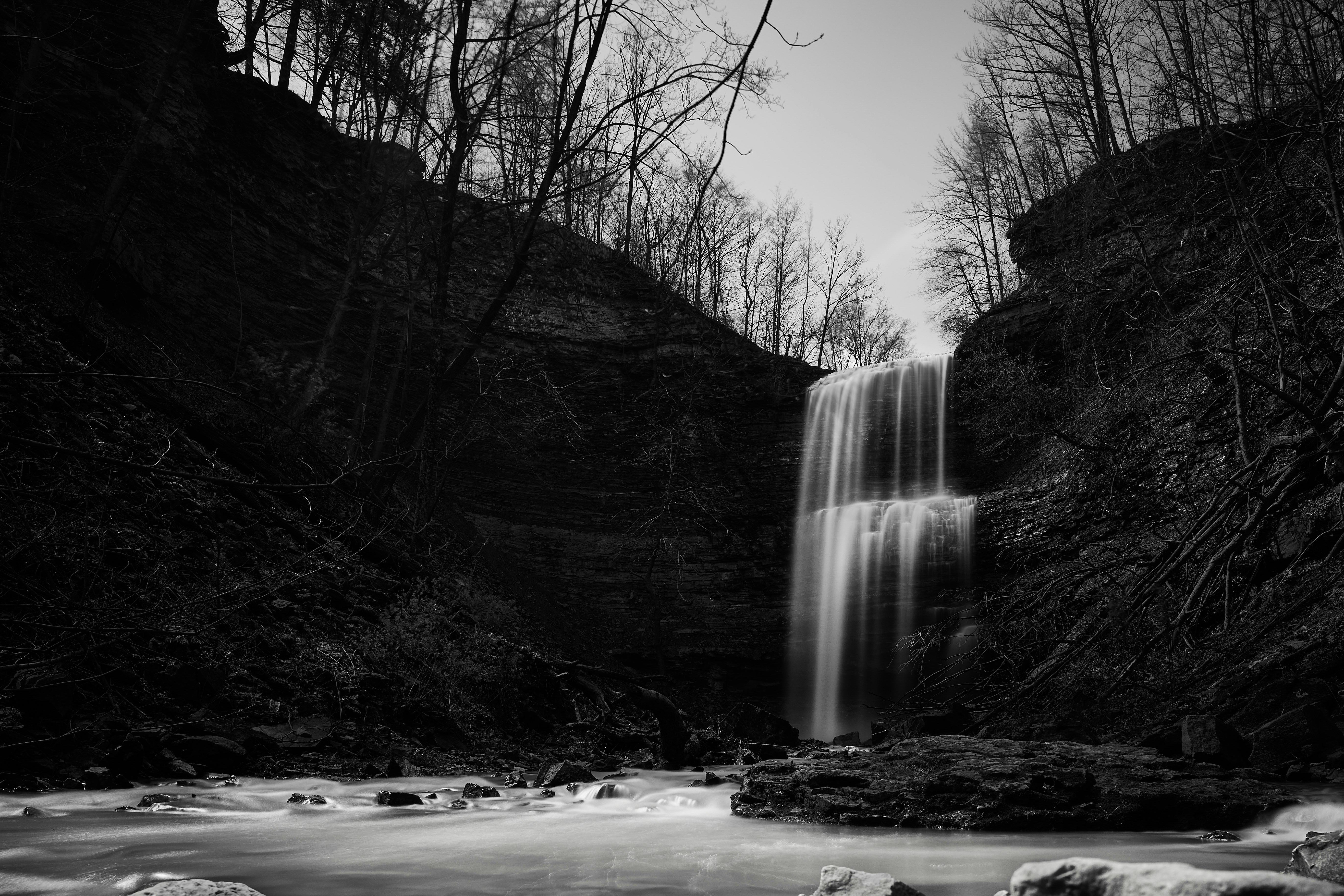 Photo by wolfgang_hasselmann