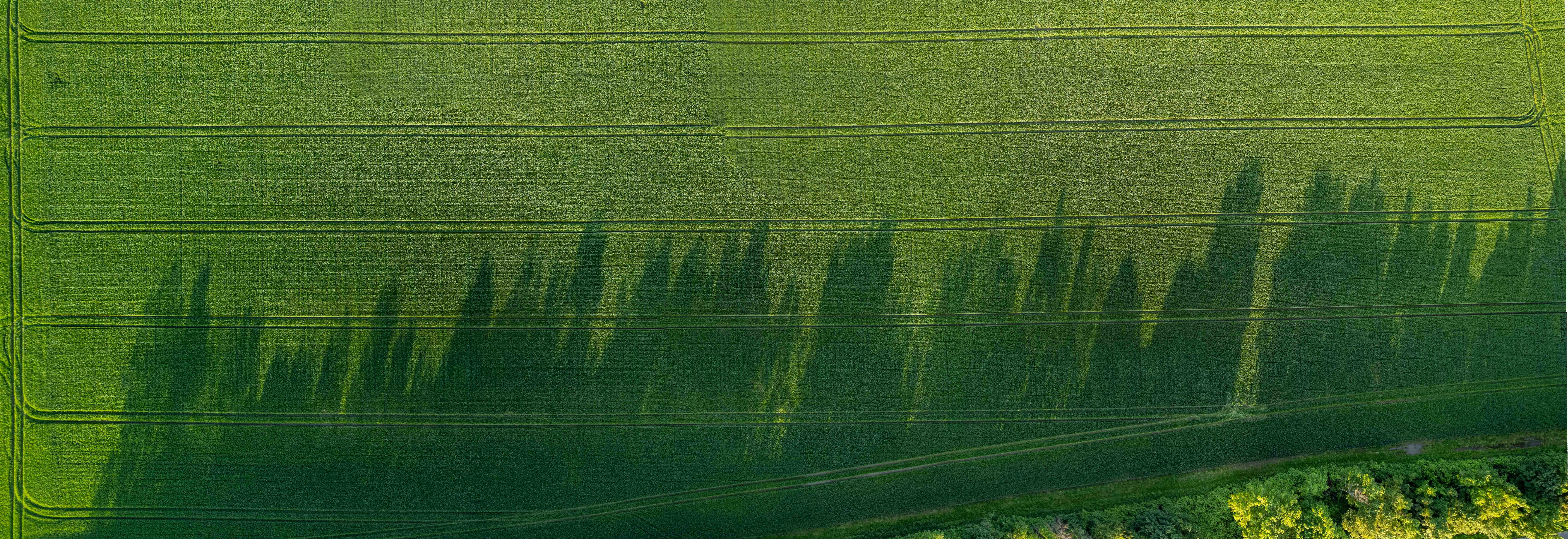 an aerial view of a green field with trees
