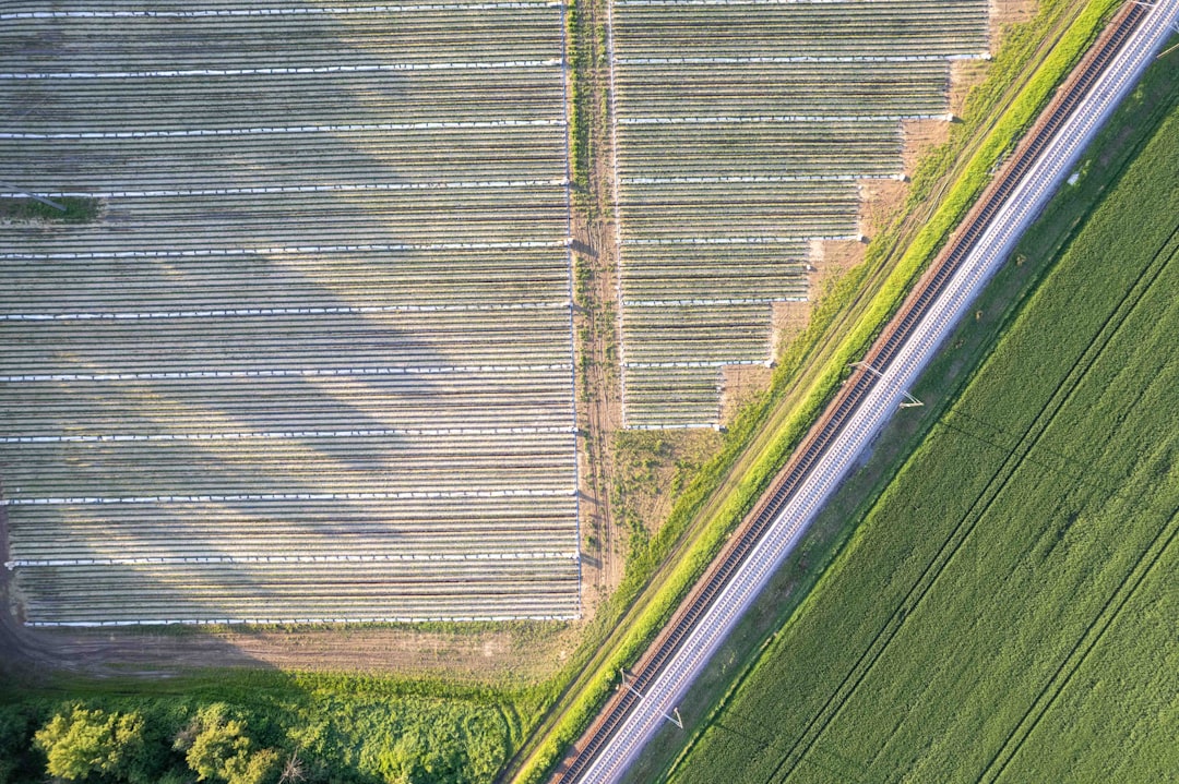 This aerial photograph displays a neatly arranged agricultural landscape where rows of crops are covered with protective white textiles, creating a striking pattern of green and white lines across the farmland. These covers are used to enhance growth by protecting plants from harsh weather and pests. The image highlights the blend of traditional farming and modern agricultural practices, emphasizing precision and sustainability in crop cultivation.