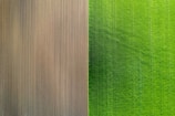 a green field and a brown field