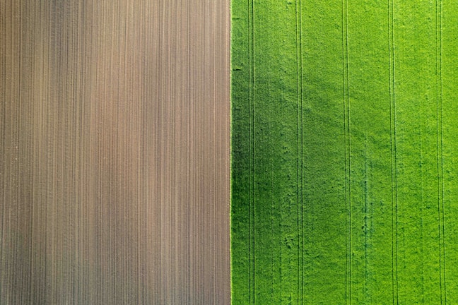 a green field and a brown field