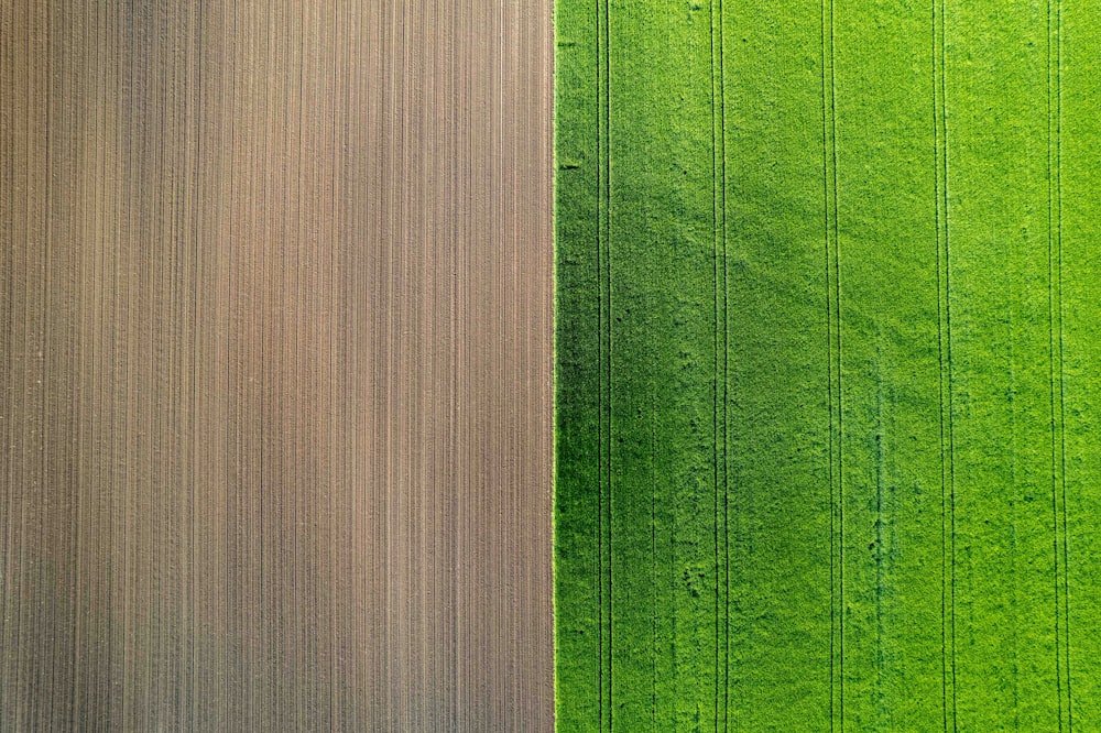 a green field and a brown field