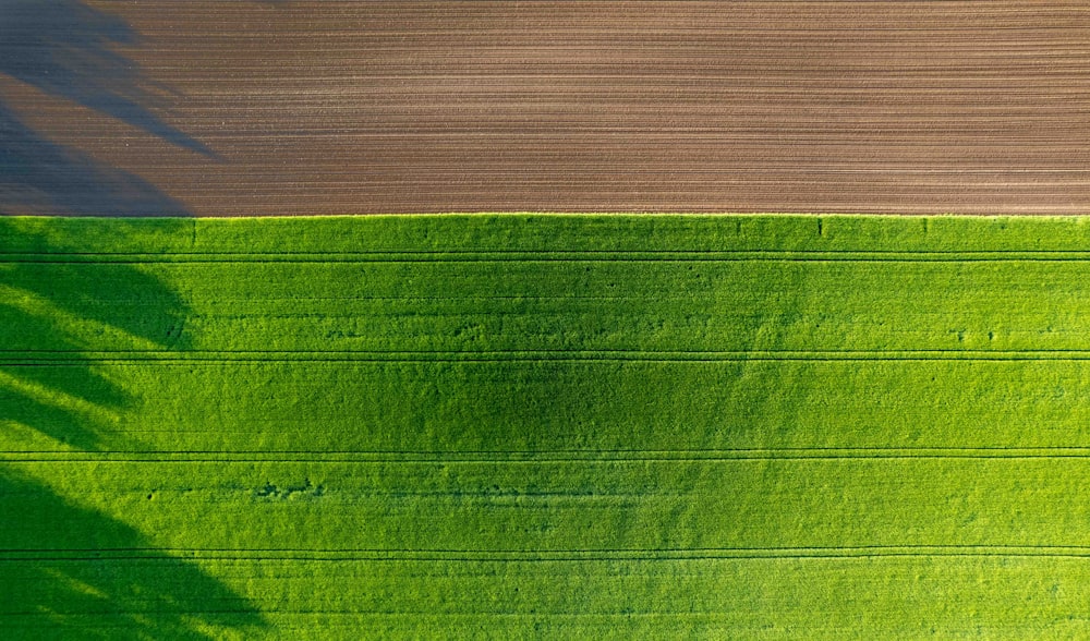 an aerial view of a green field with a shadow of a tree