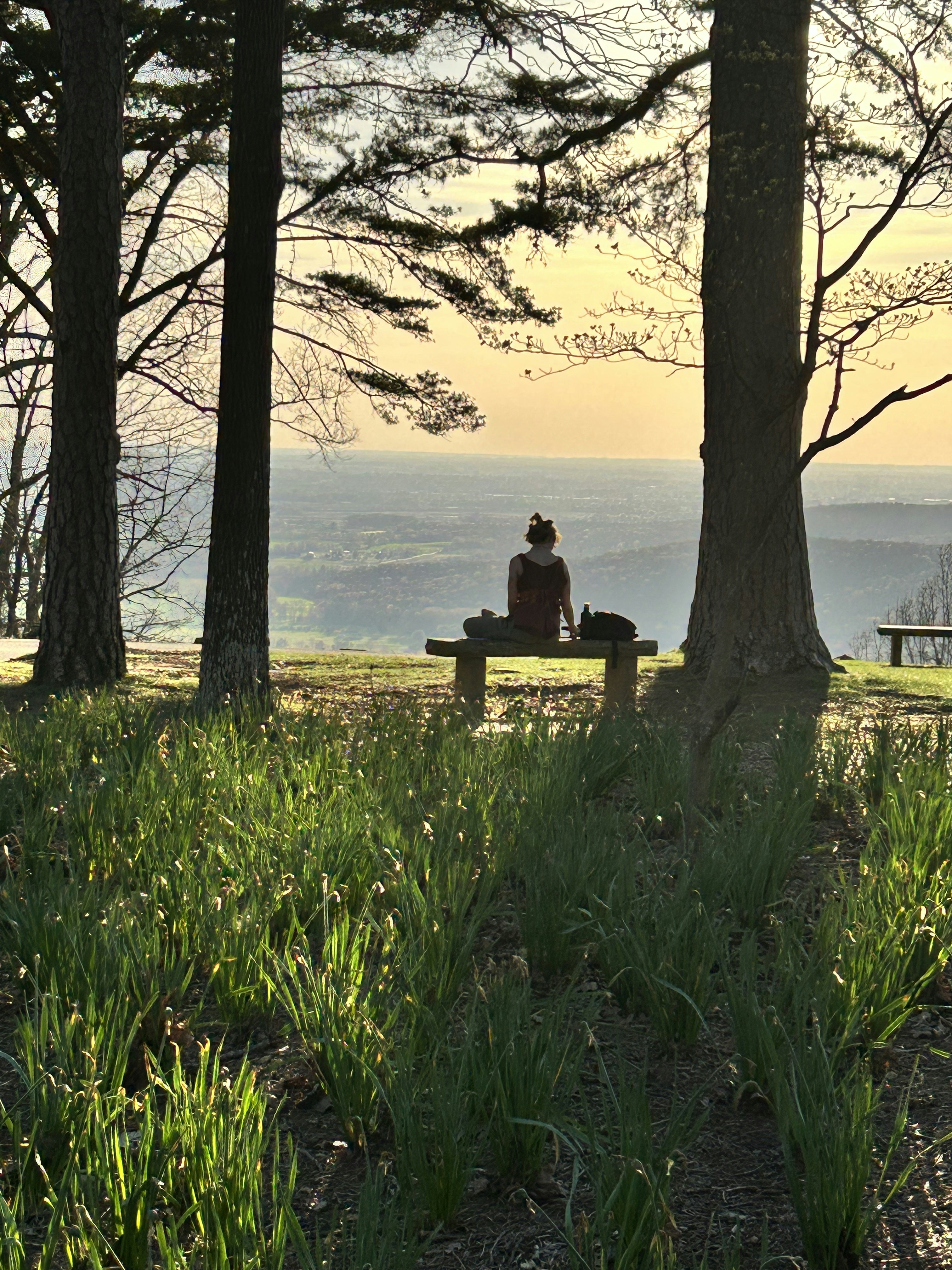 A person sitting on a bench in a park photo – Free Grass Image on Unsplash