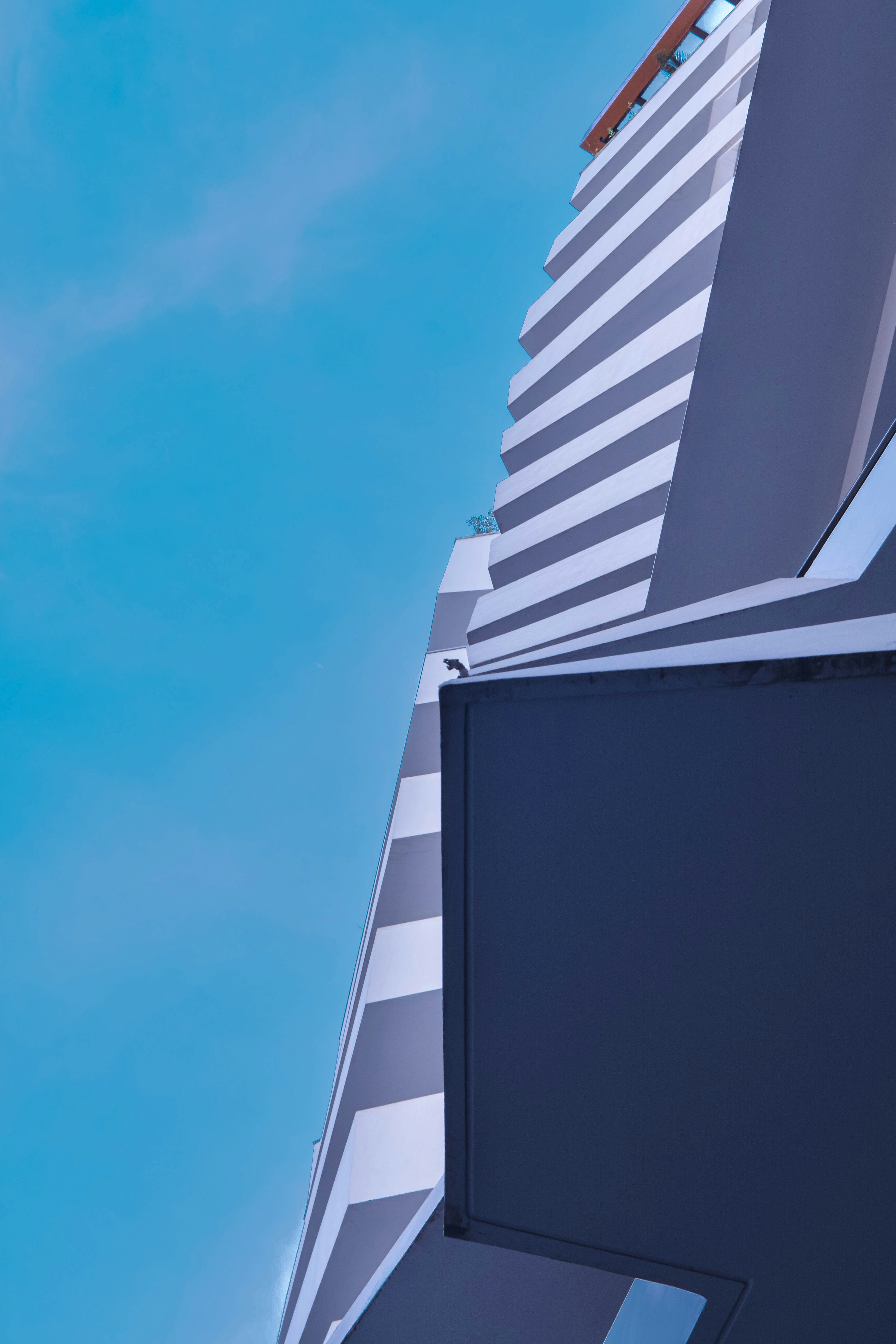 Photo by yassindawoud