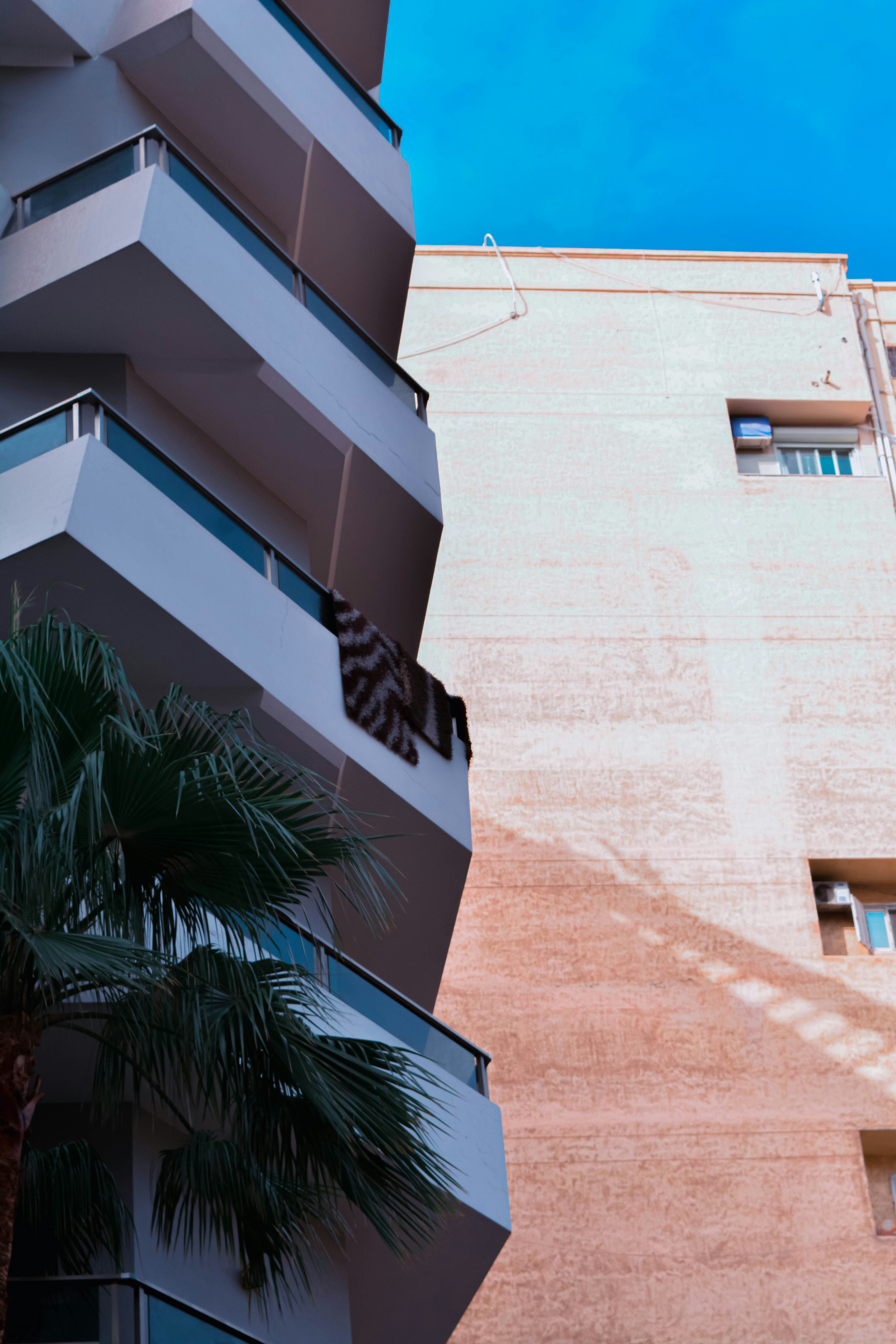 Photo by yassindawoud