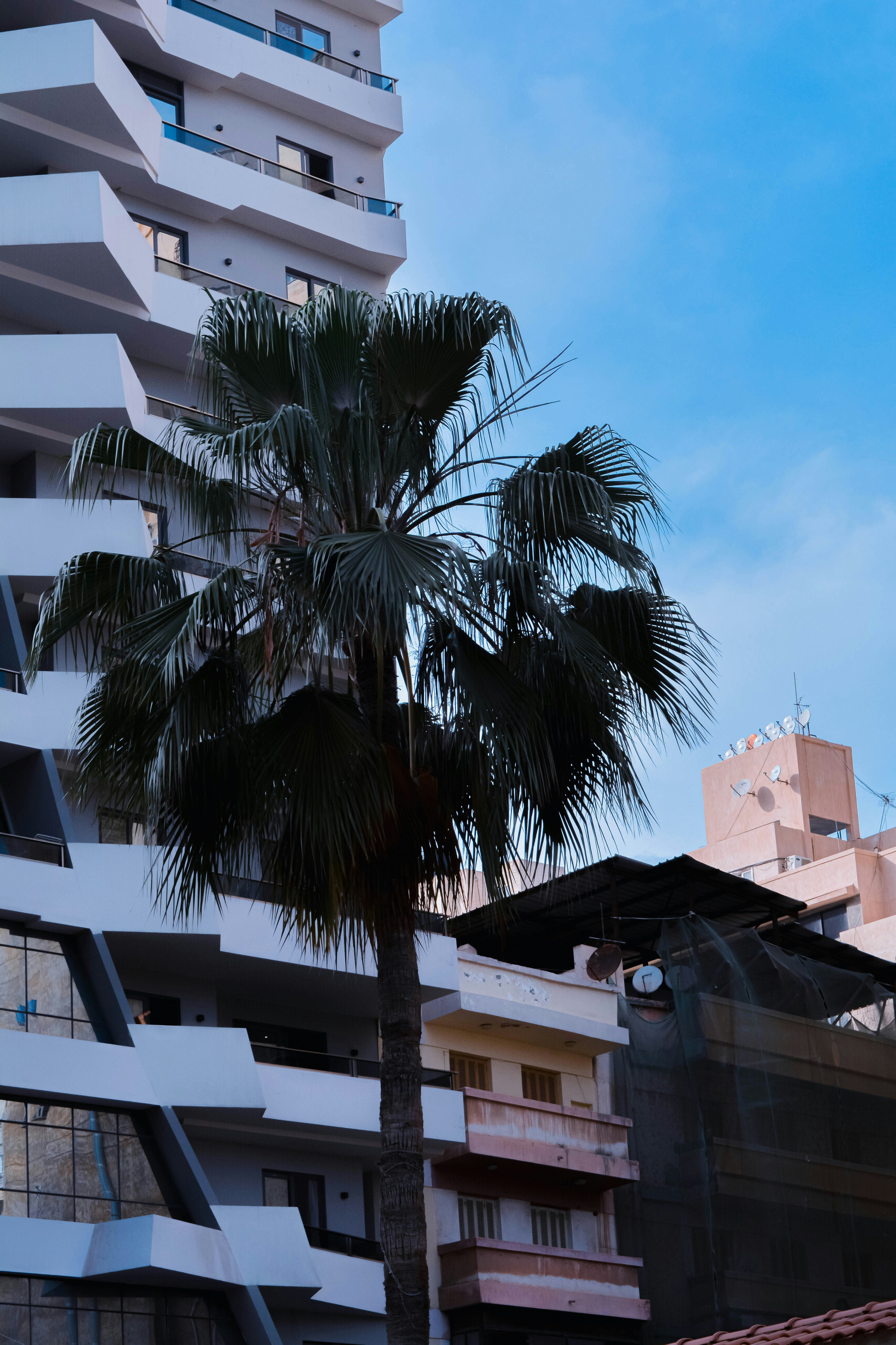 Photo by yassindawoud