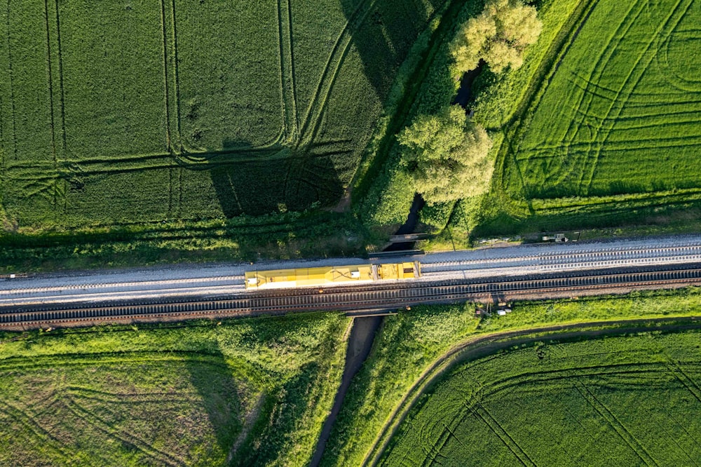 a train traveling through a lush green countryside