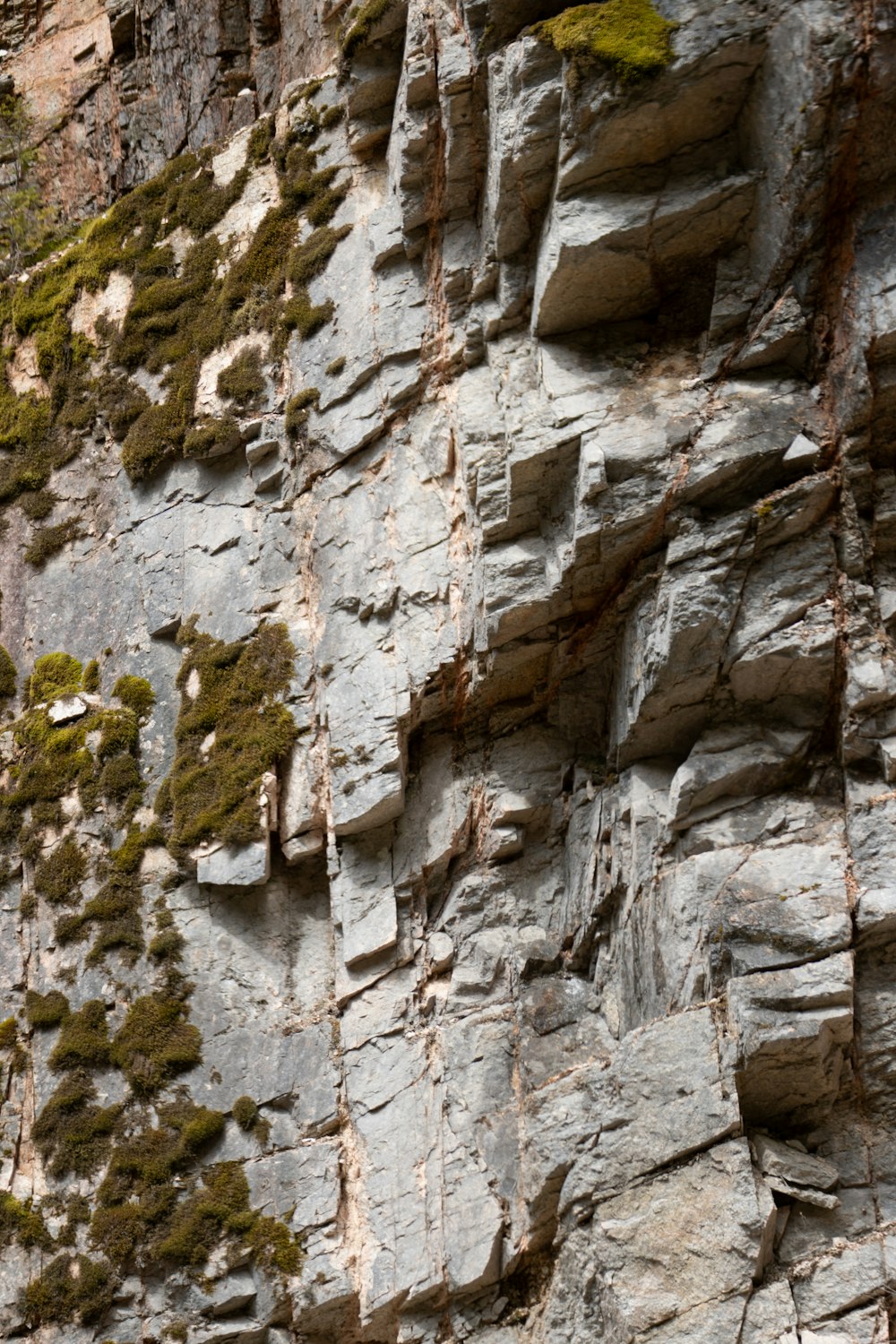 a rock face with moss growing on it