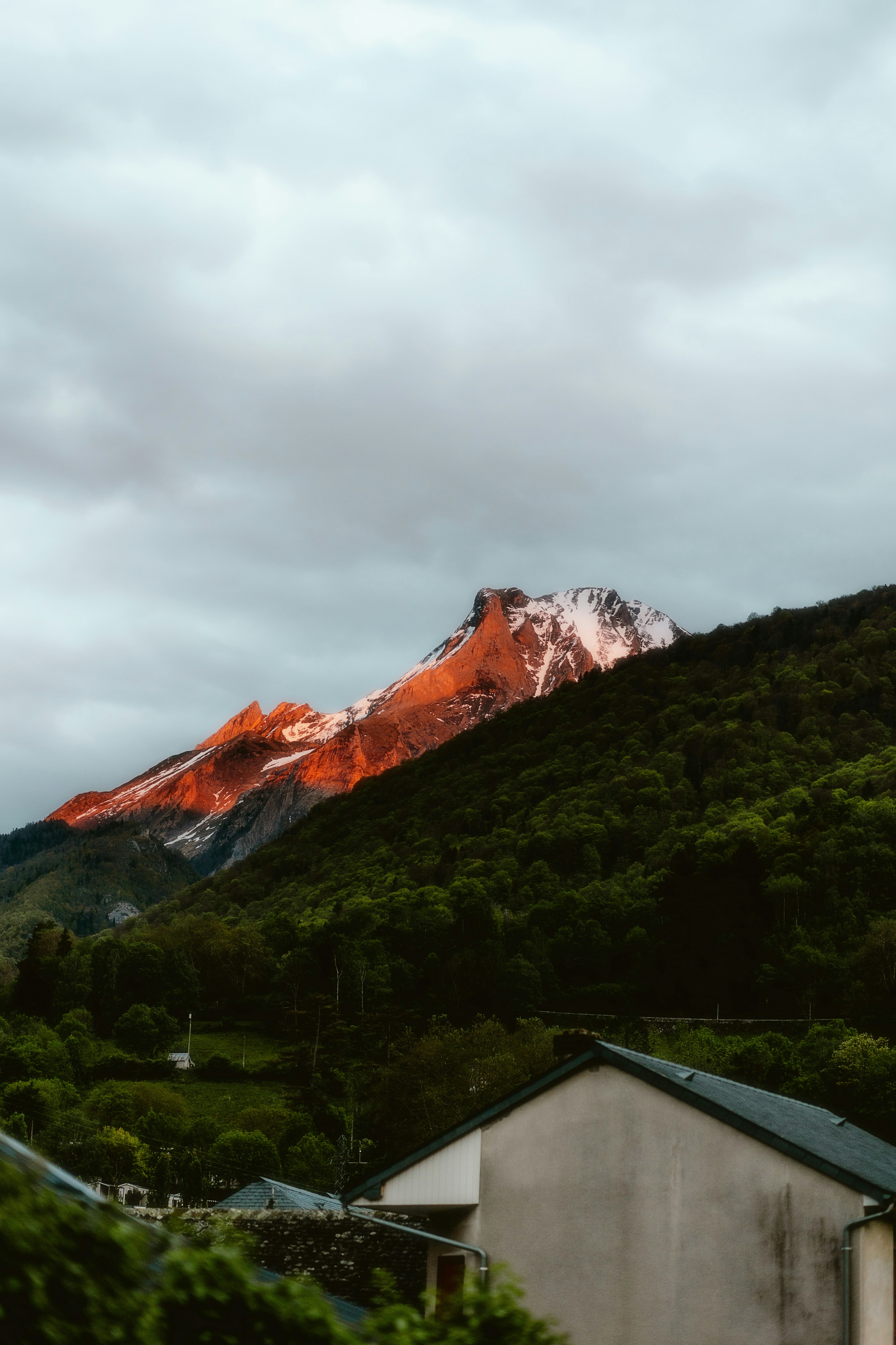 Healthy Food Choices