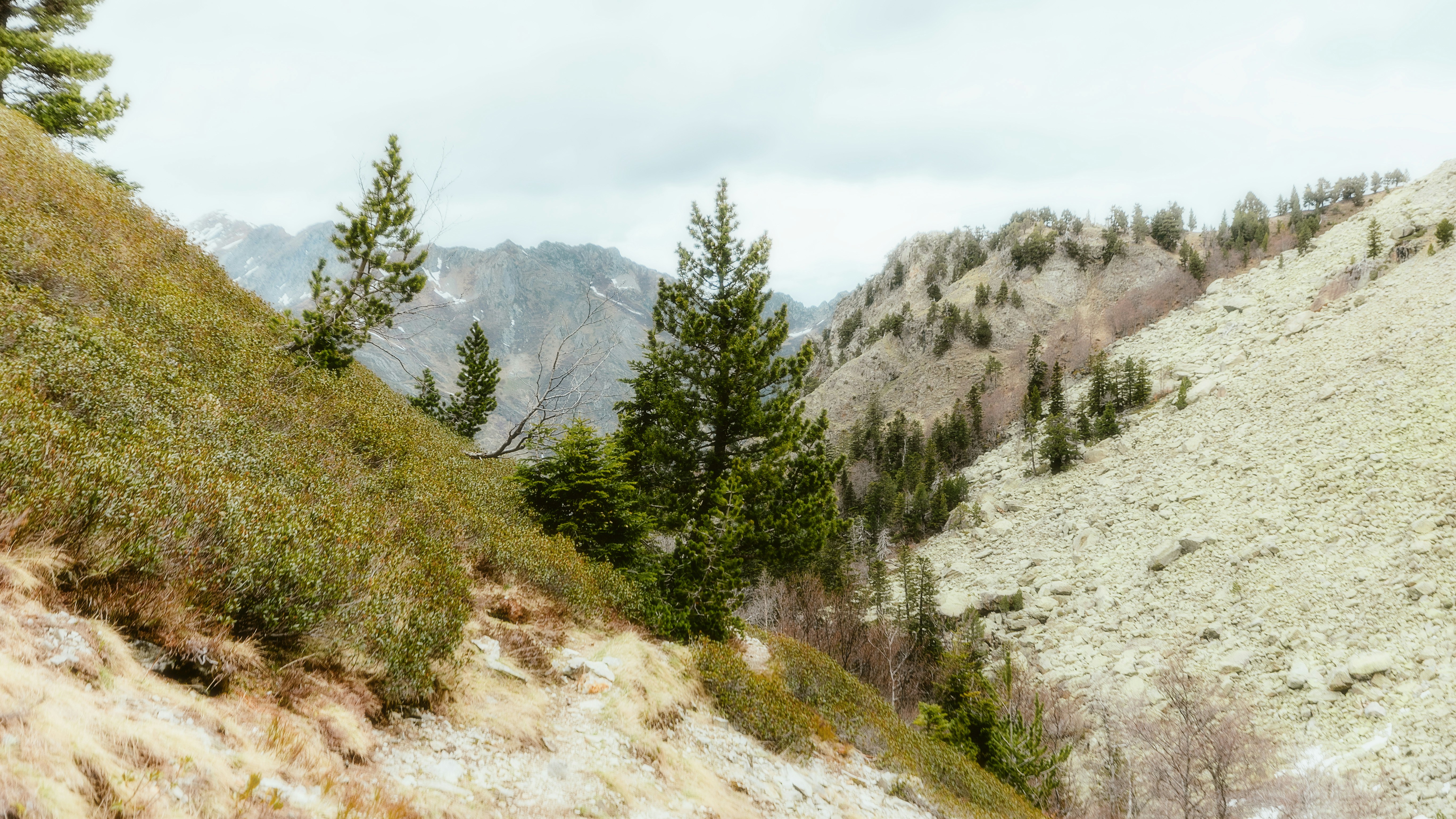 Photo by alingavriliuc