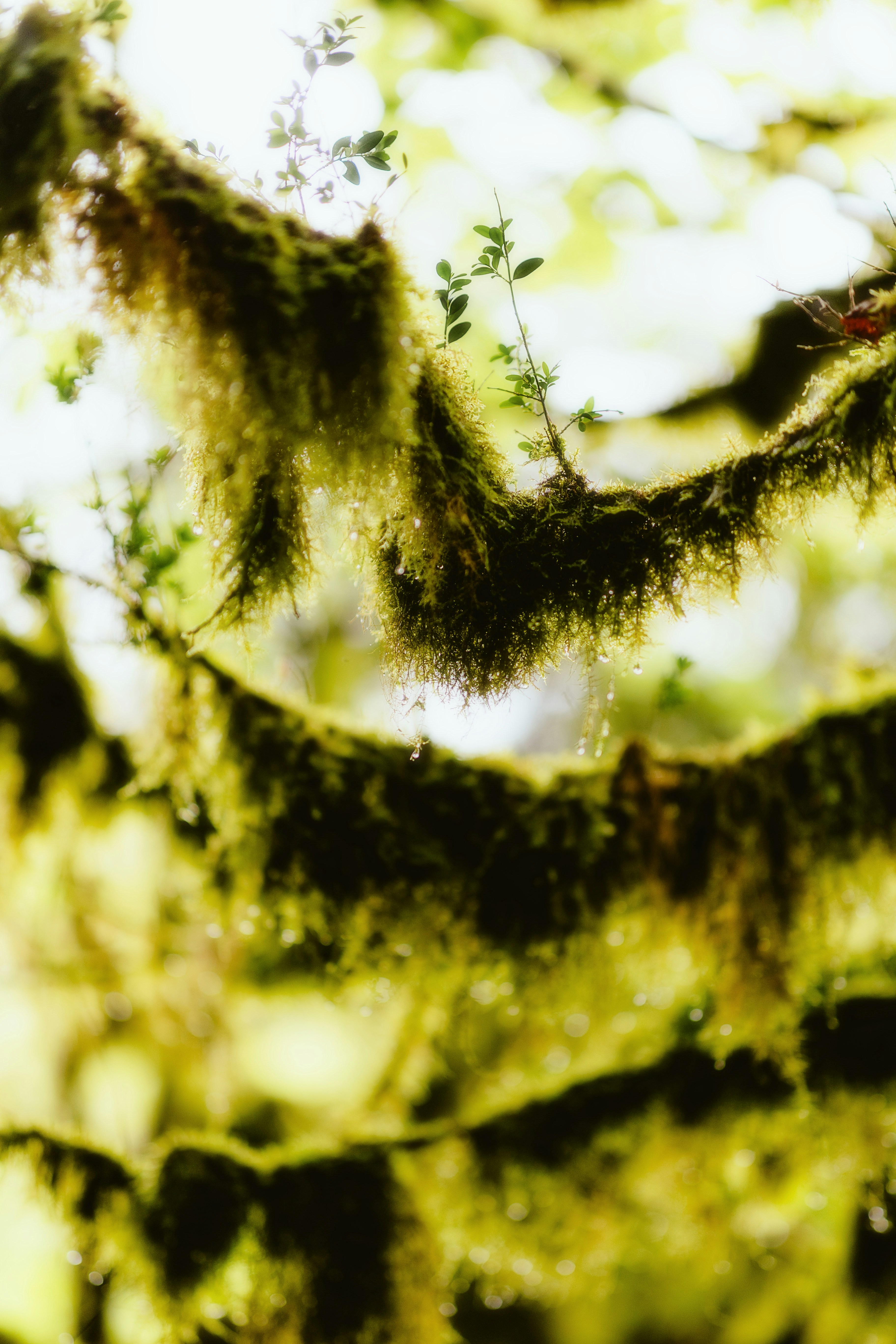 Photo by alingavriliuc