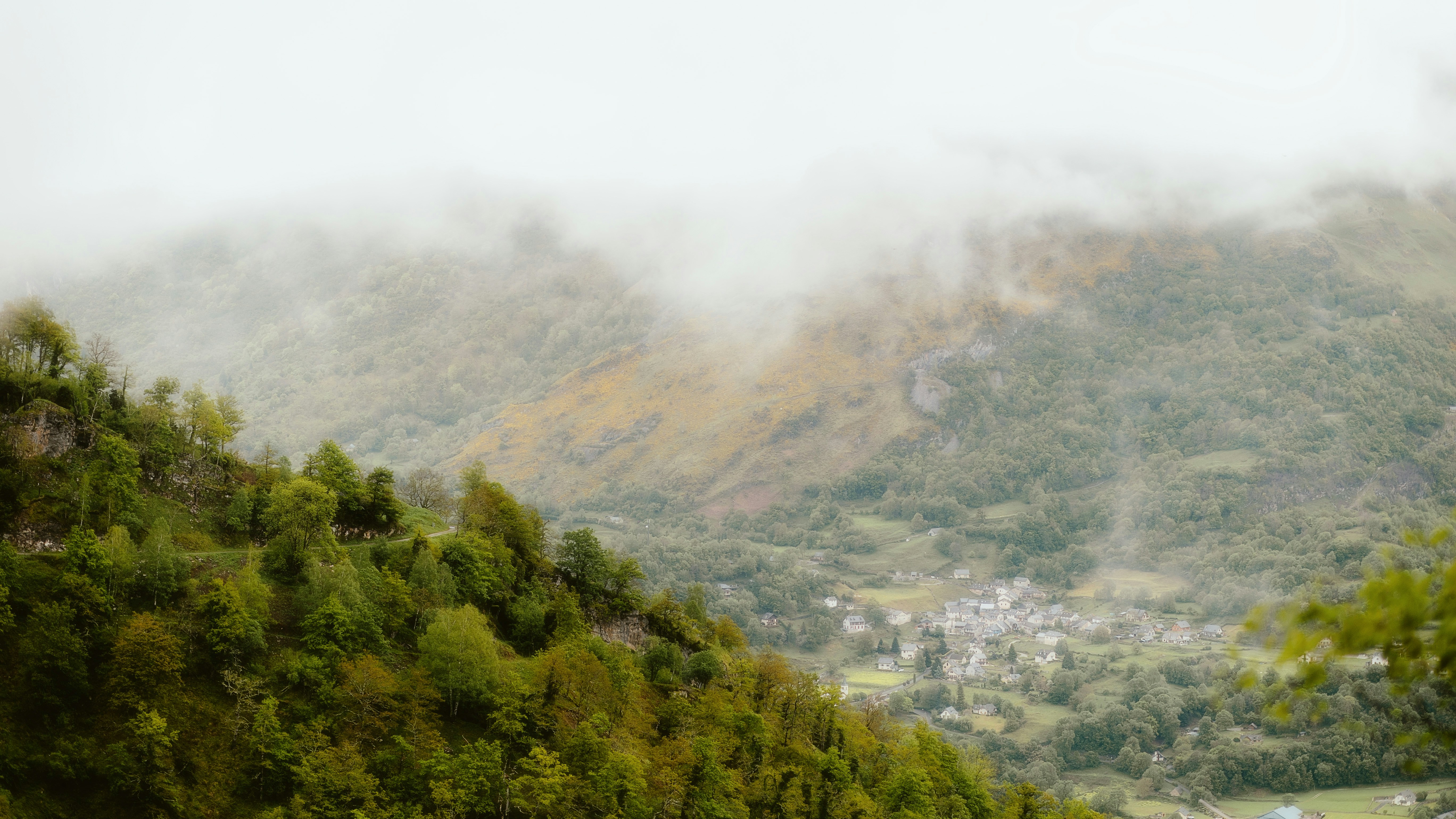 Photo by alingavriliuc