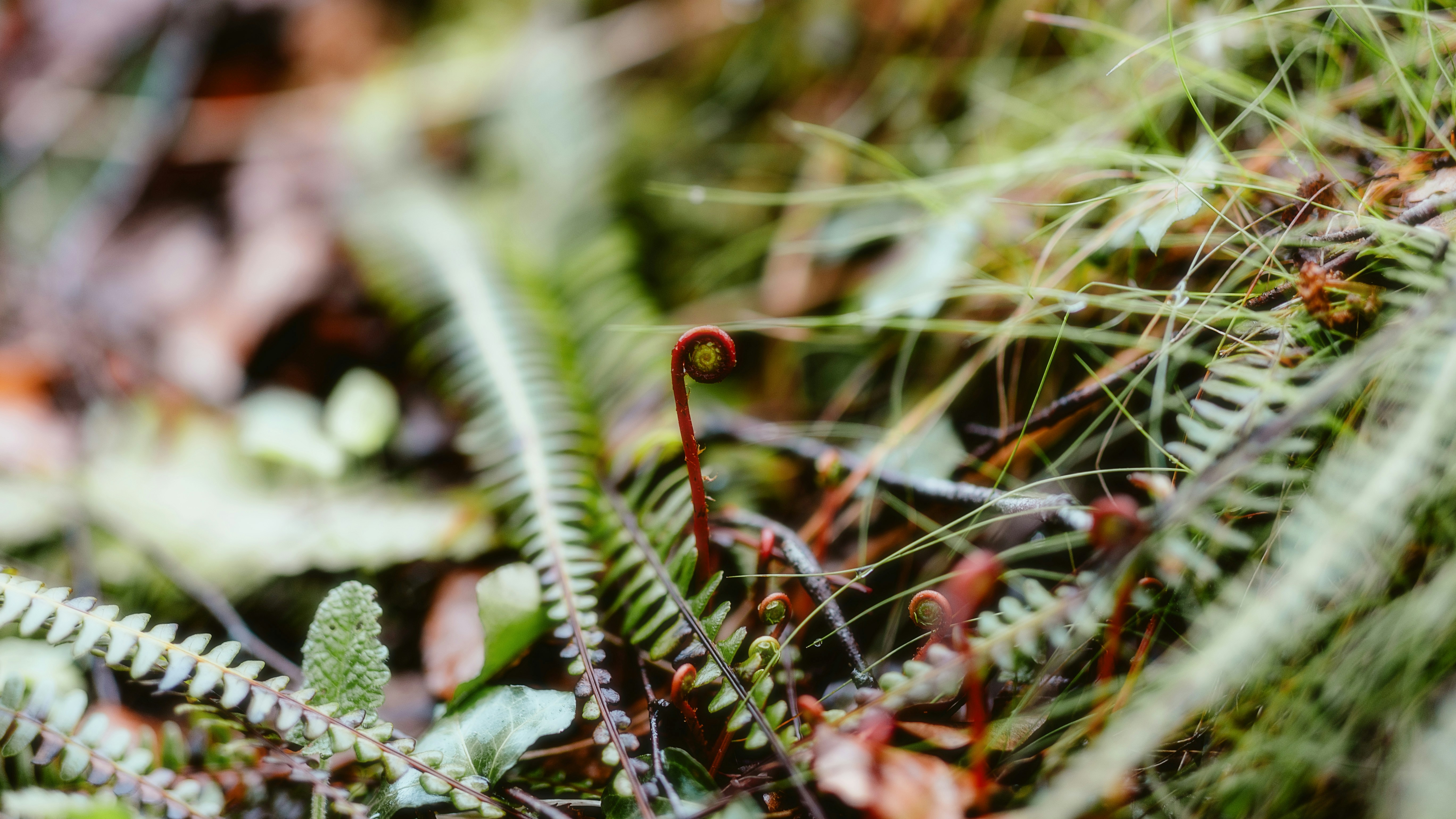 Photo by alingavriliuc