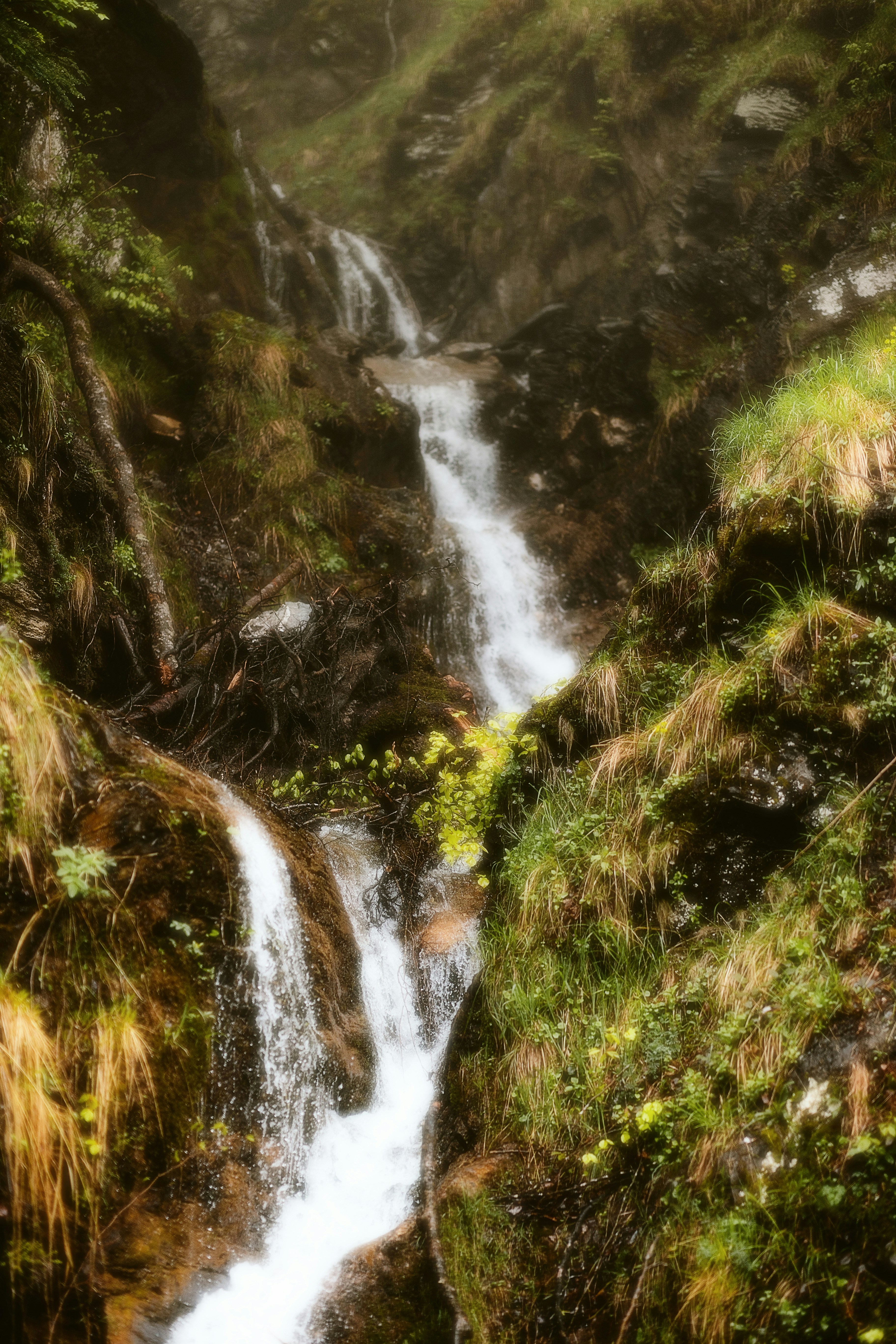 Photo by alingavriliuc