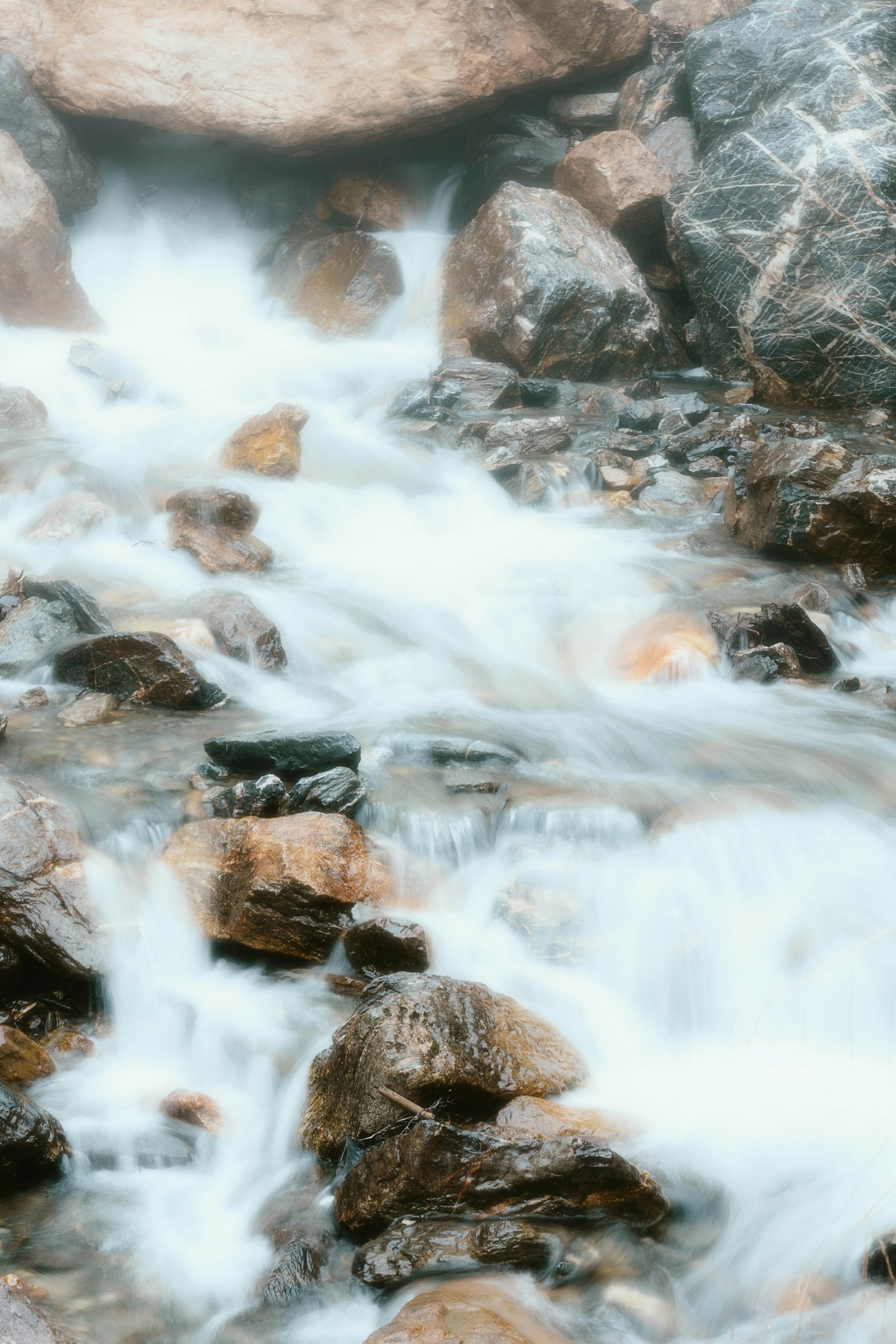 Photo by alingavriliuc