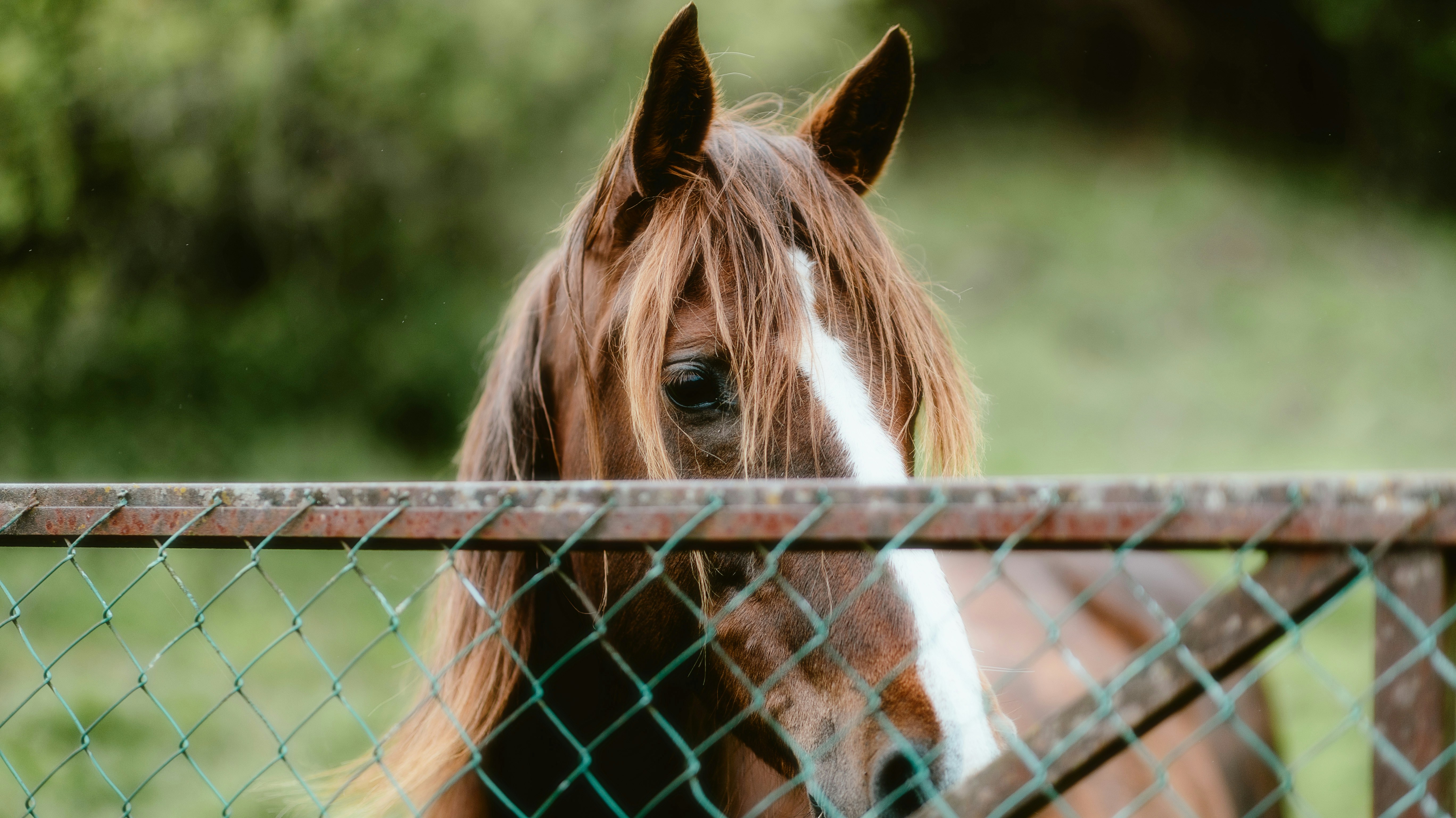 Photo by alingavriliuc