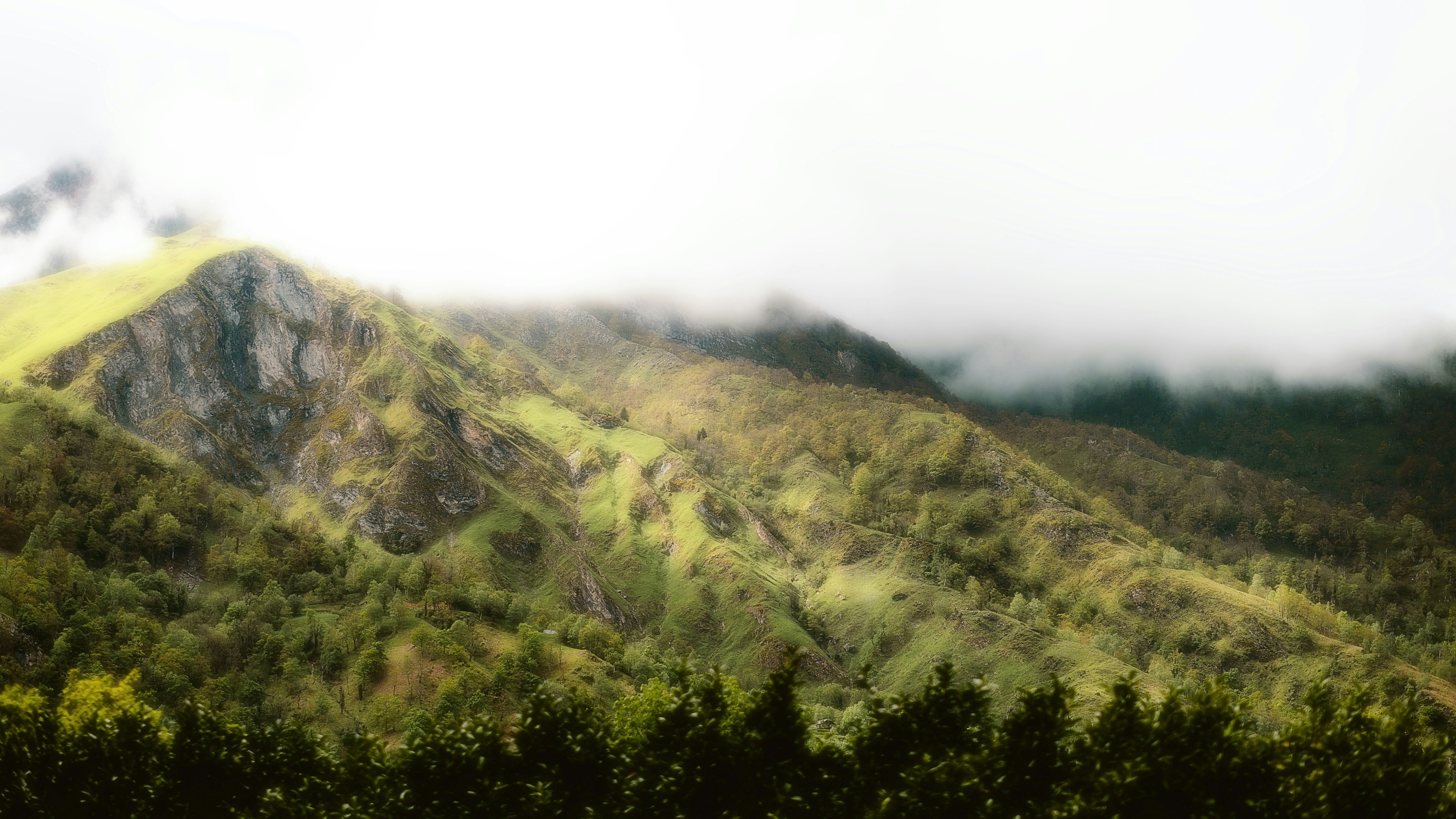 Photo by alingavriliuc