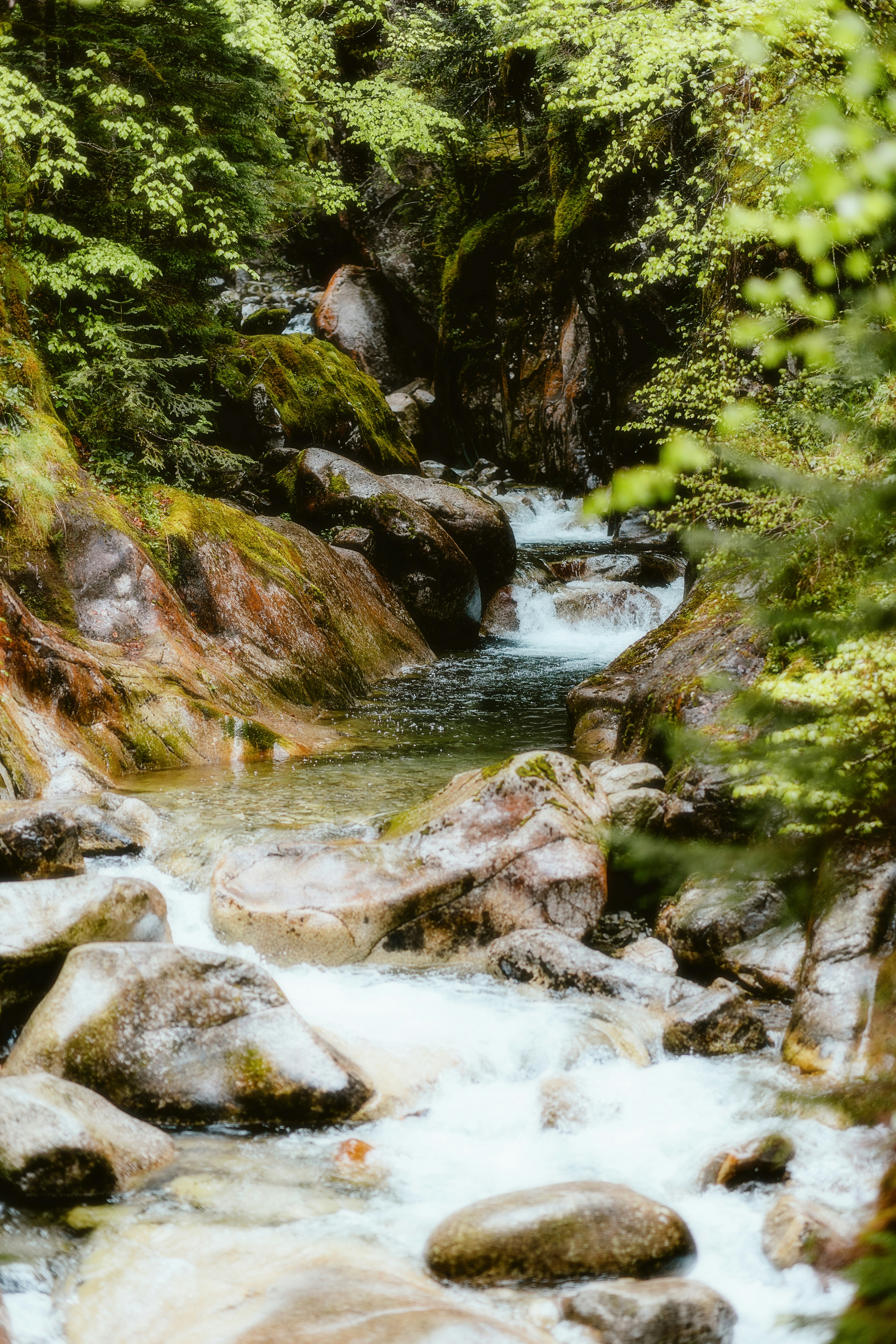 Photo by alingavriliuc