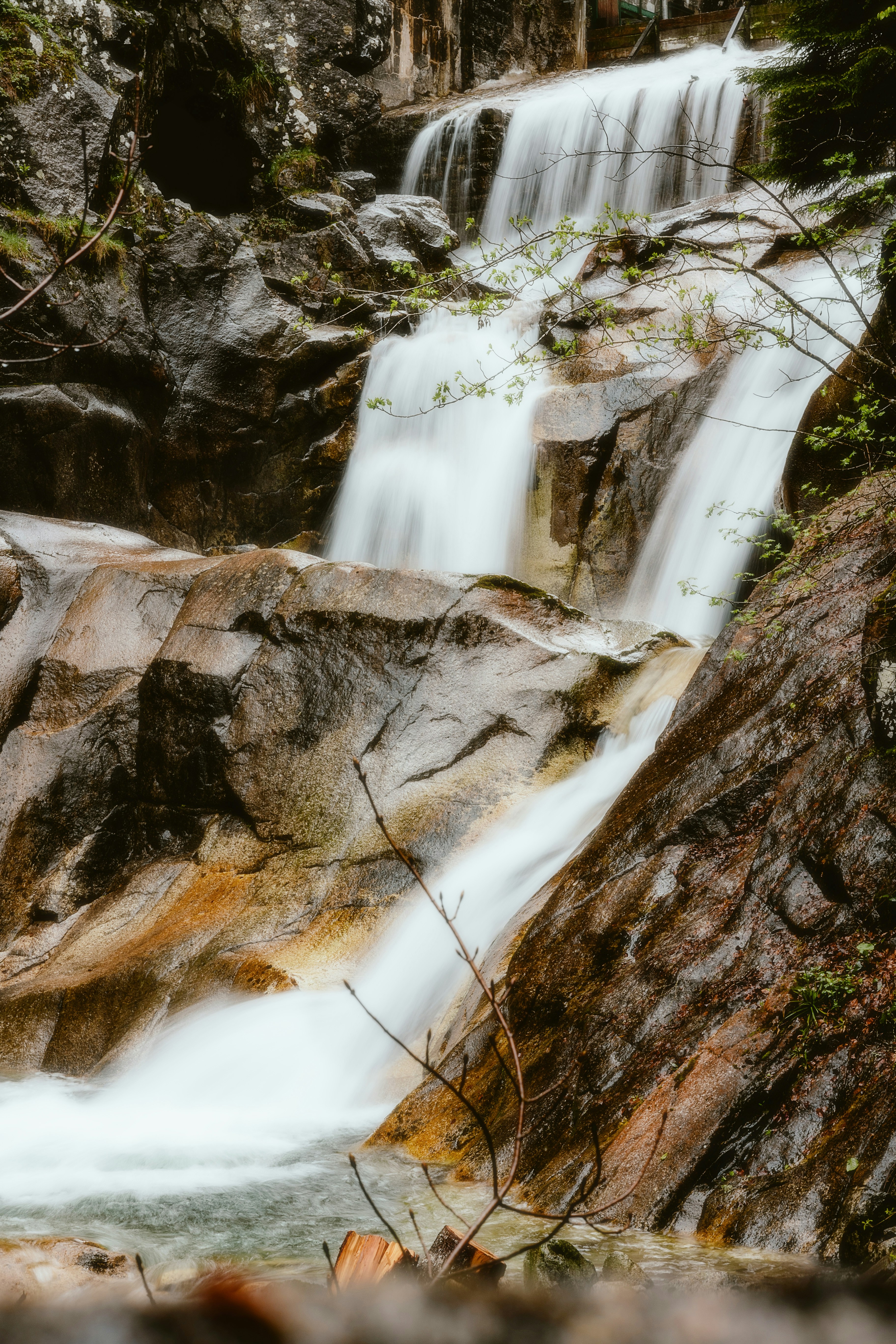 Photo by alingavriliuc