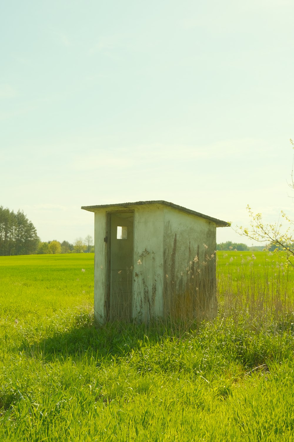 une toilette extérieure dans un champ d’herbe verte