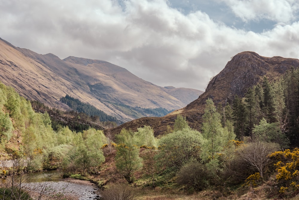 a river running through a lush green valley