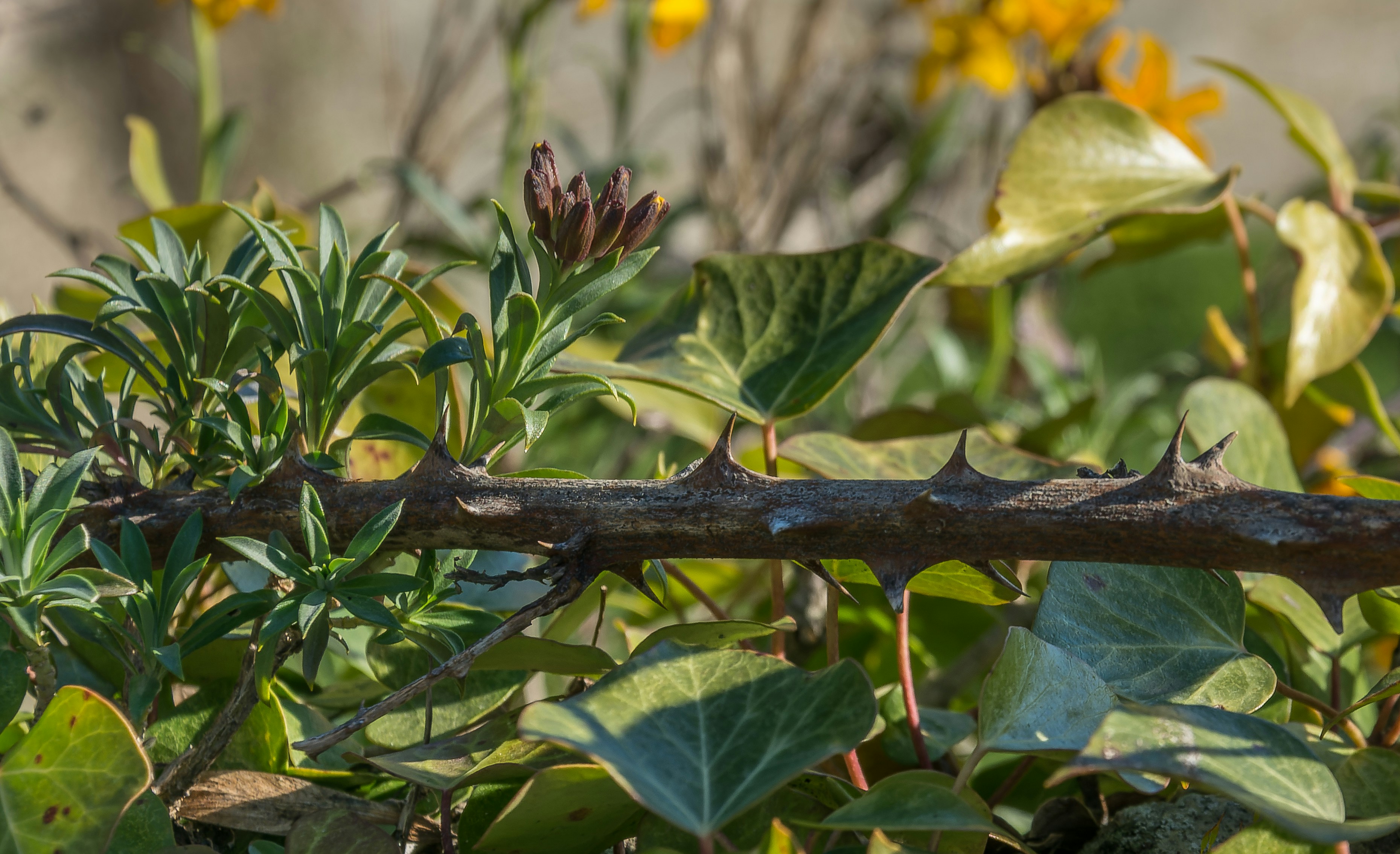 Photo by instantphotos