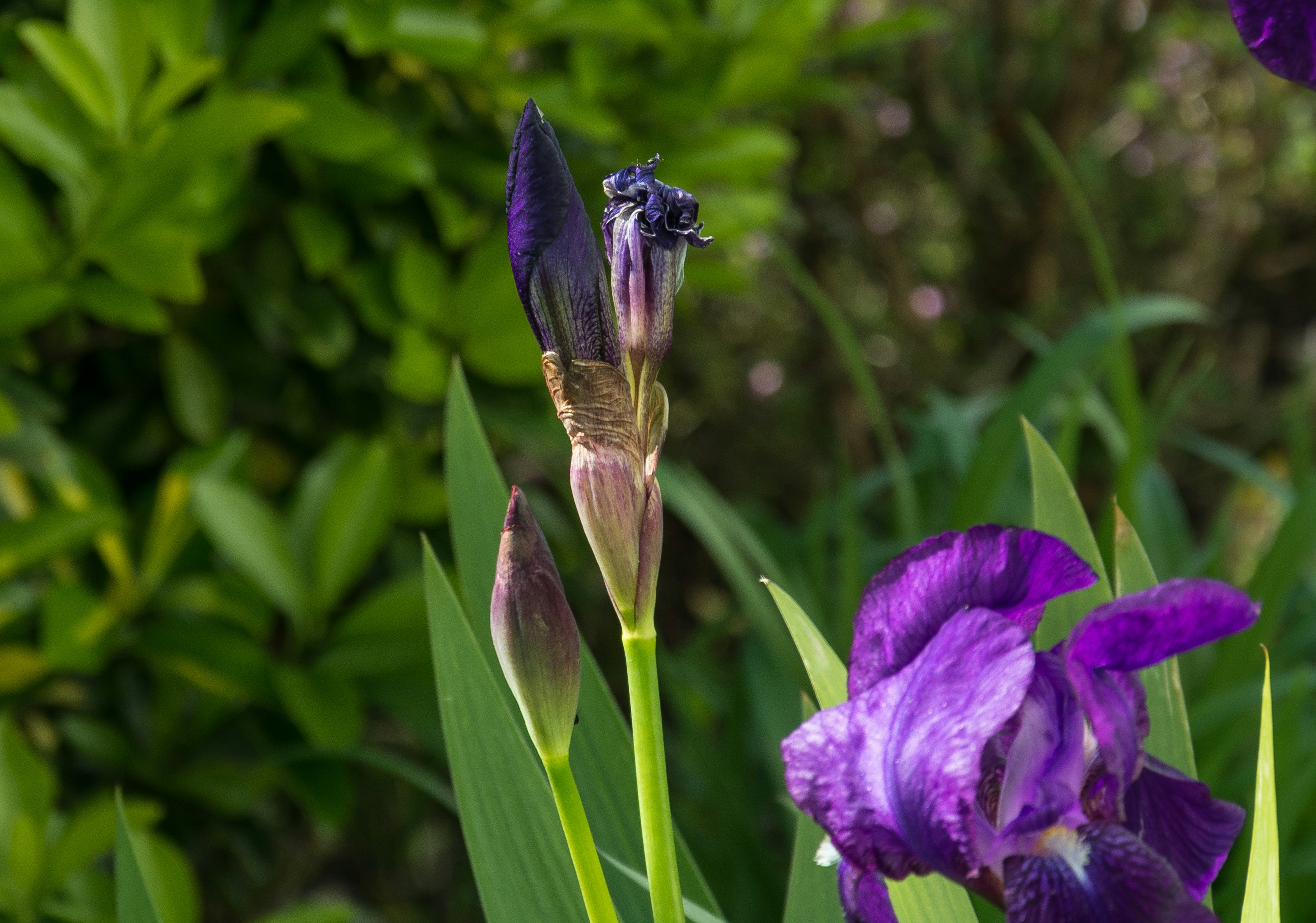 Photo by instantphotos