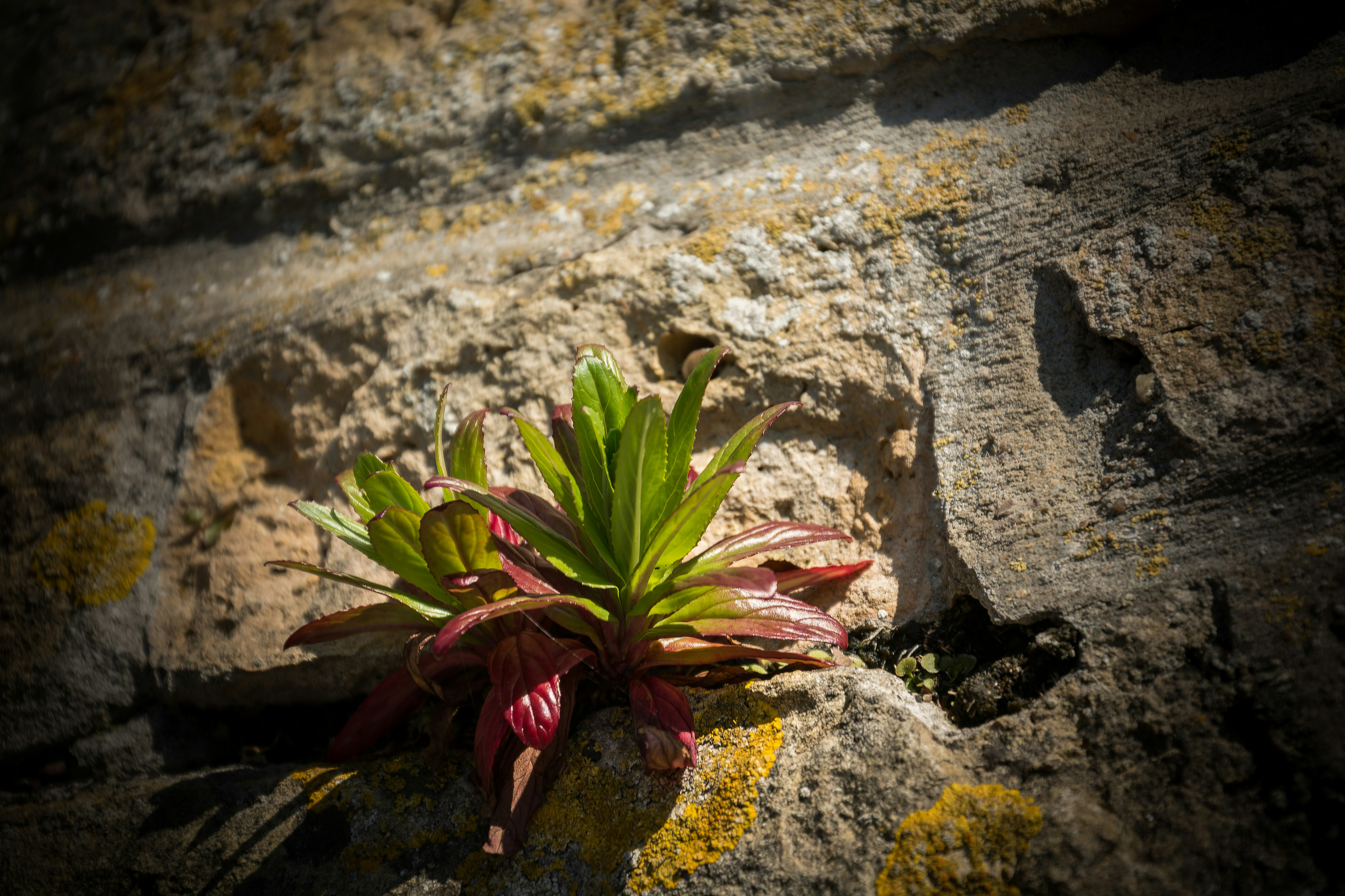 Photo by instantphotos