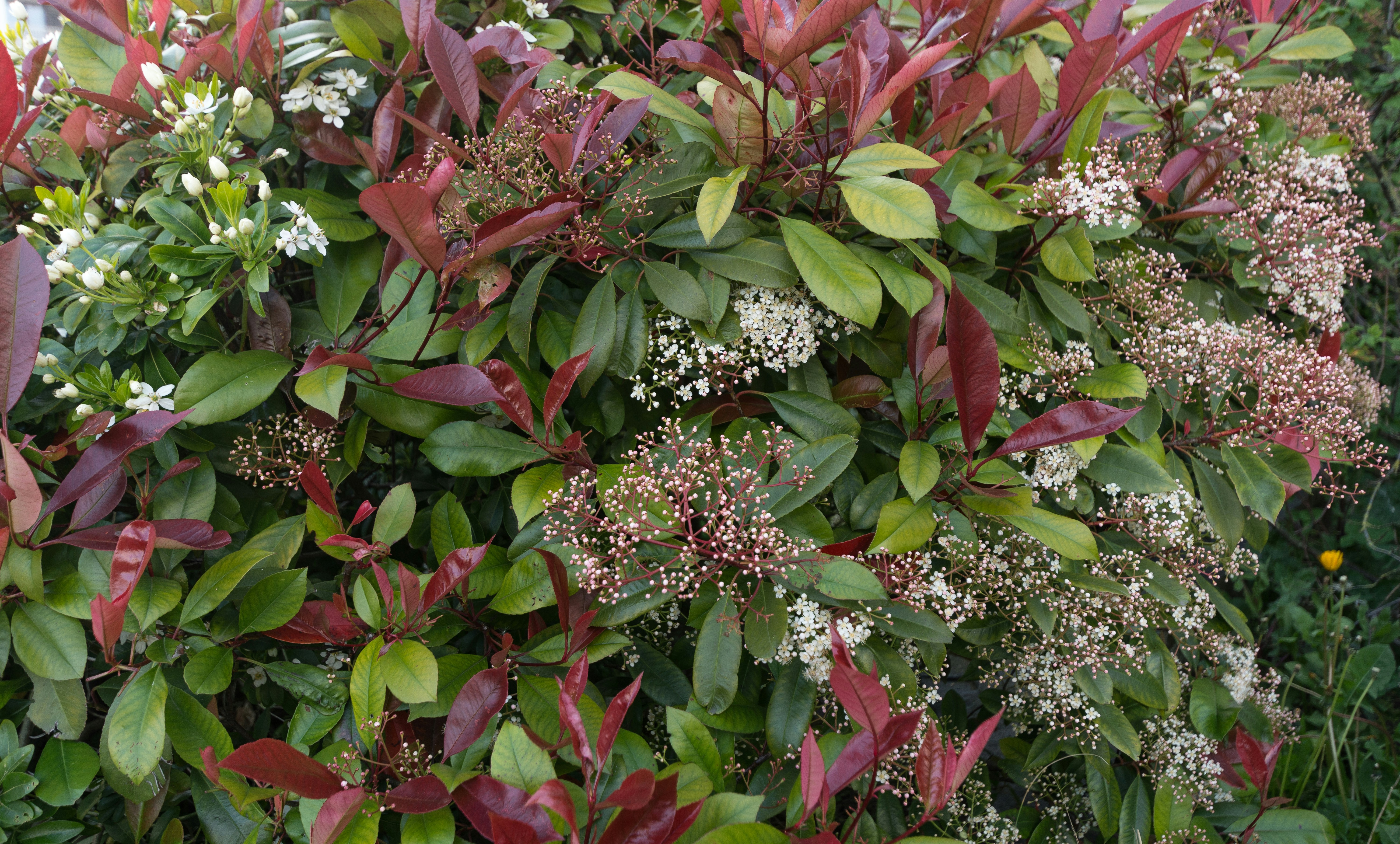 Photo by instantphotos