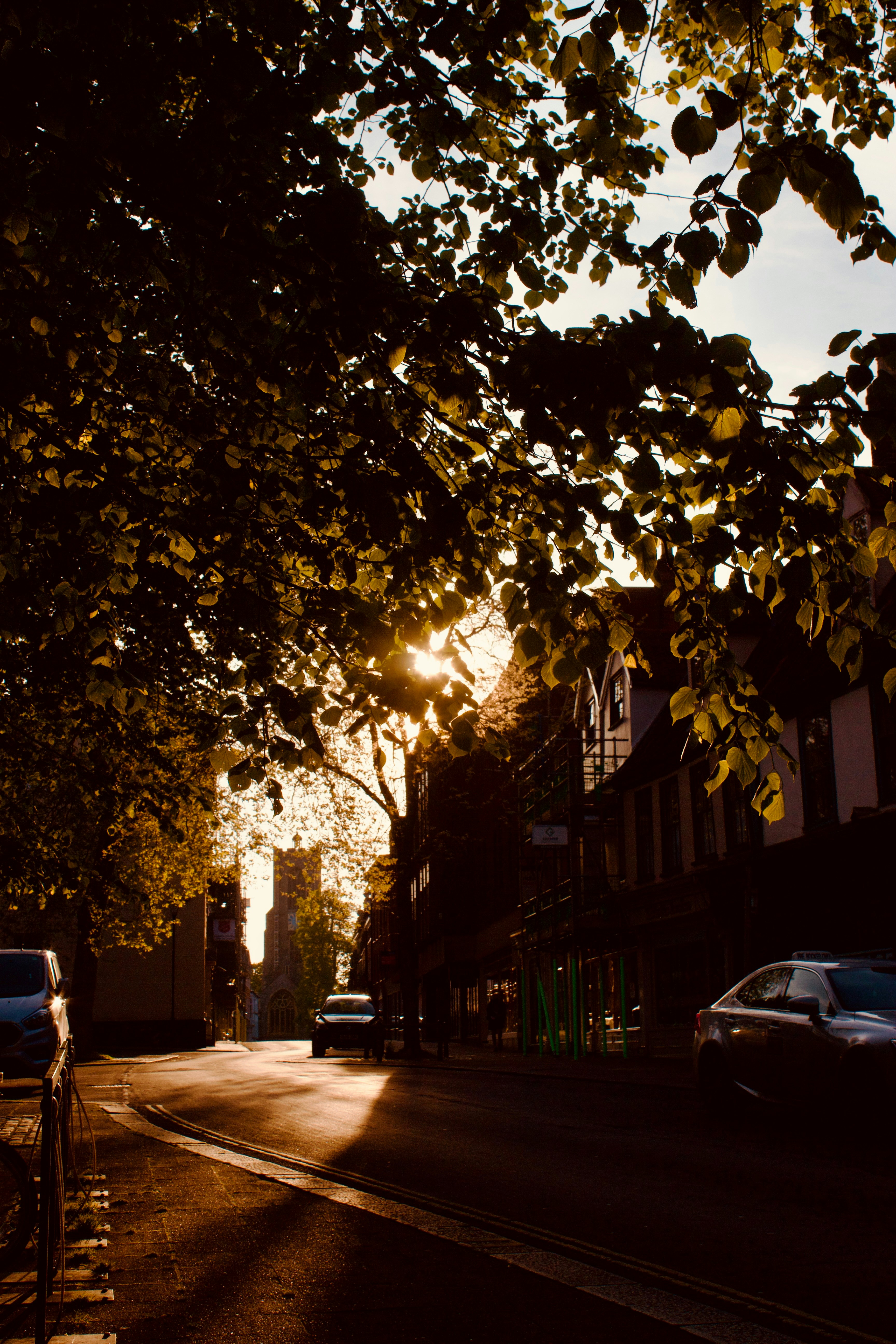 Photo by baznaaman