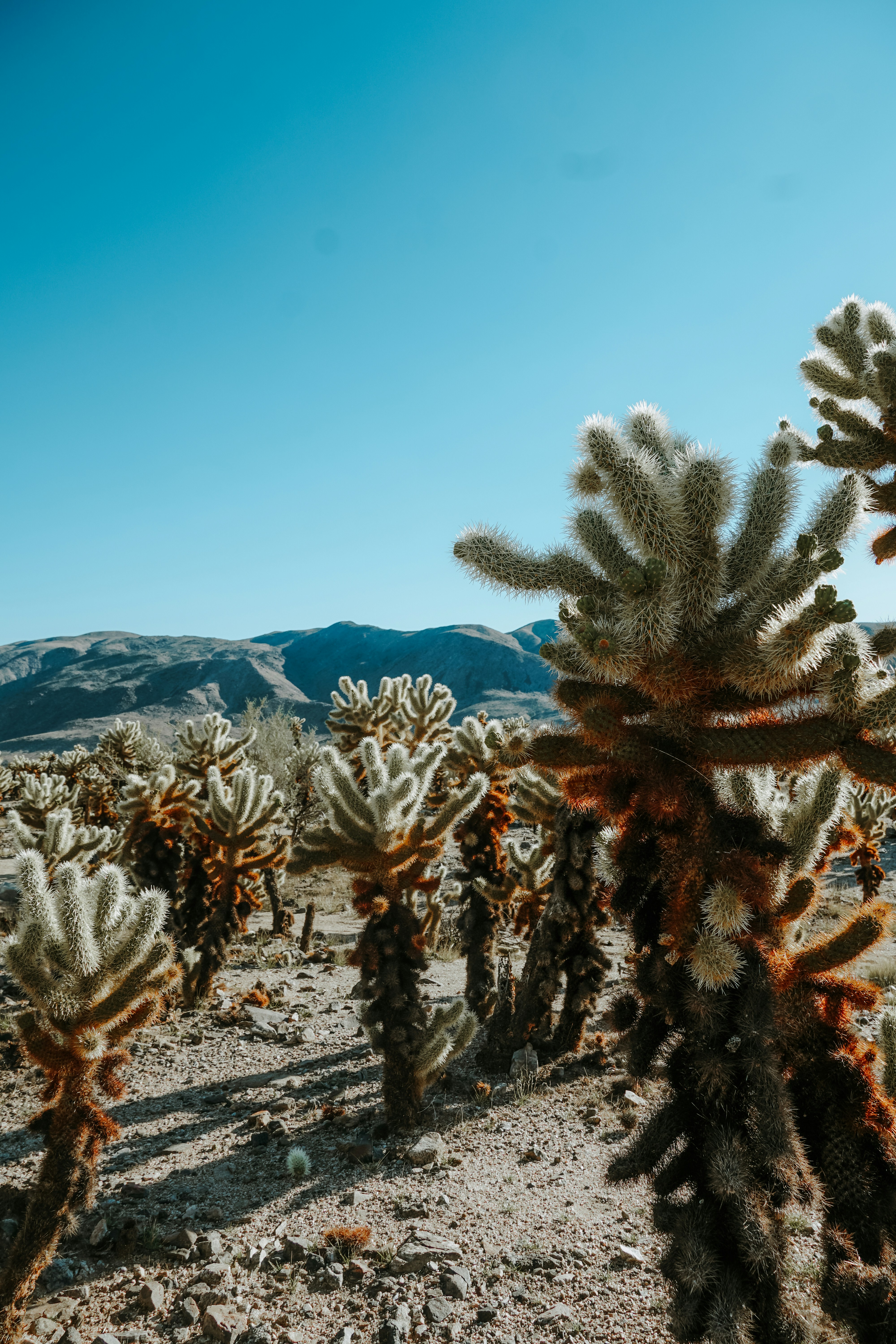 Photo by carbonsource