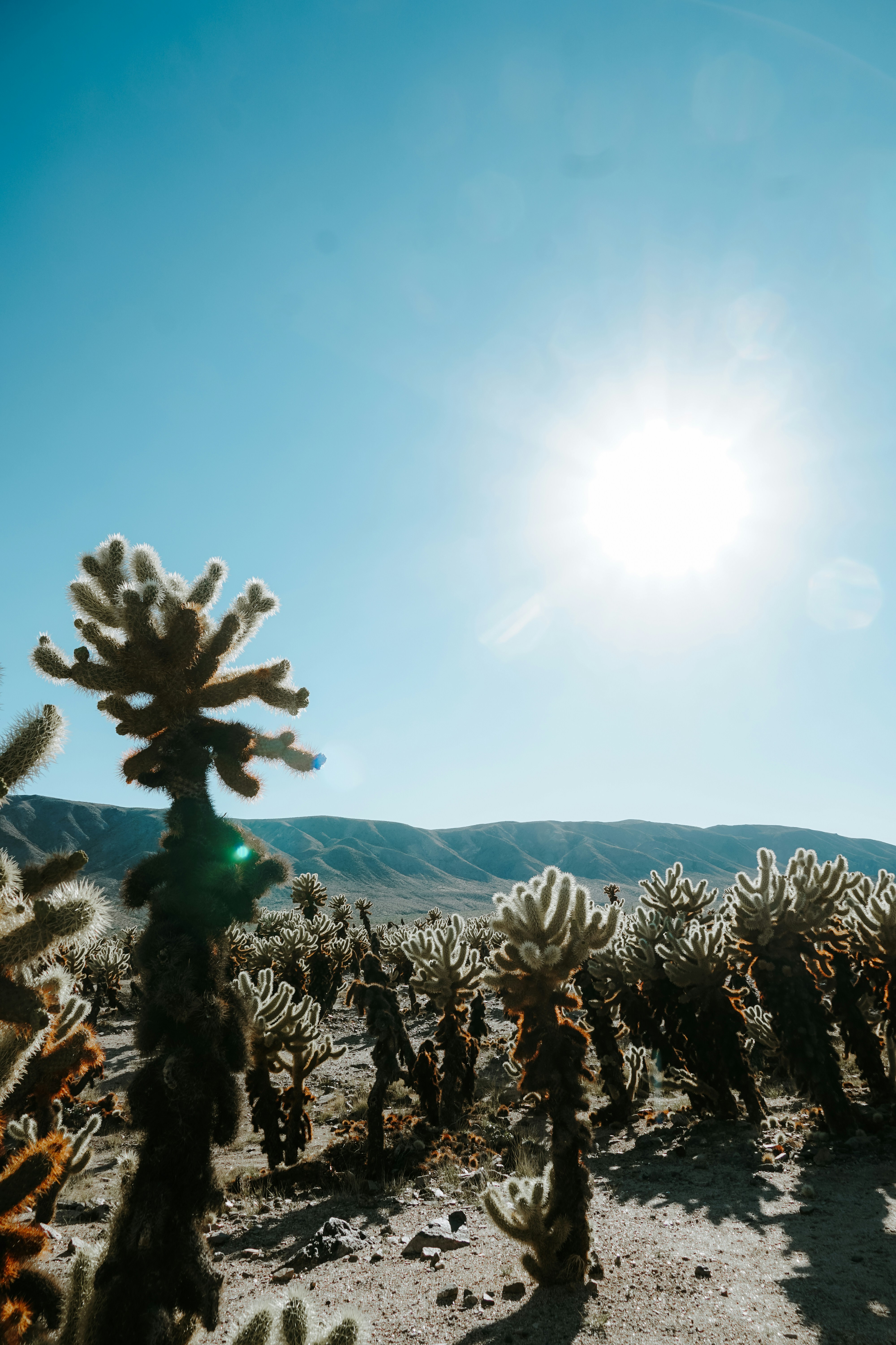 Photo by carbonsource