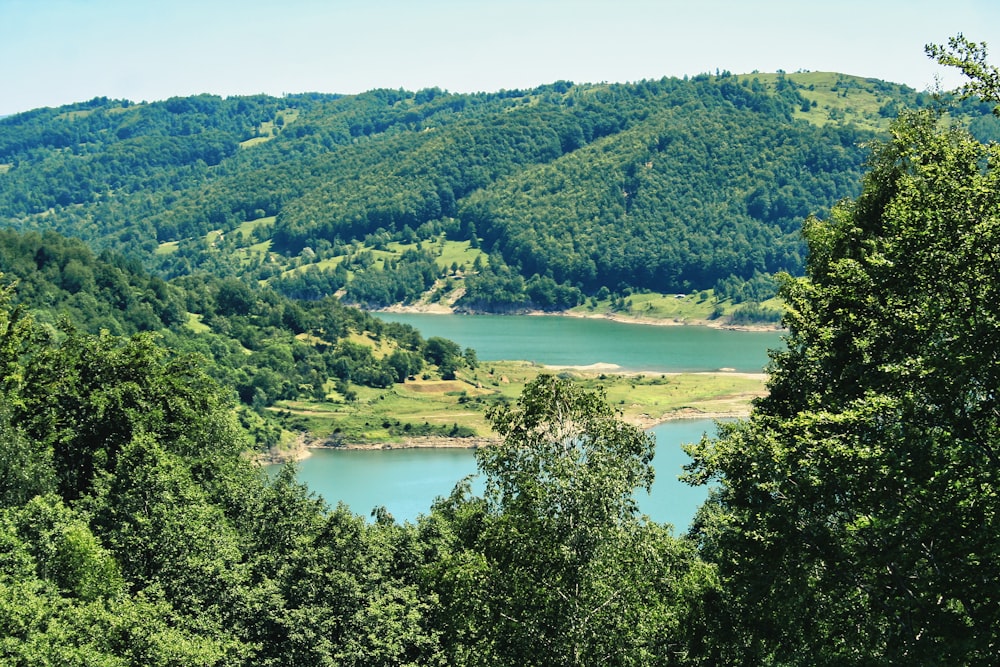 a scenic view of a lake surrounded by trees