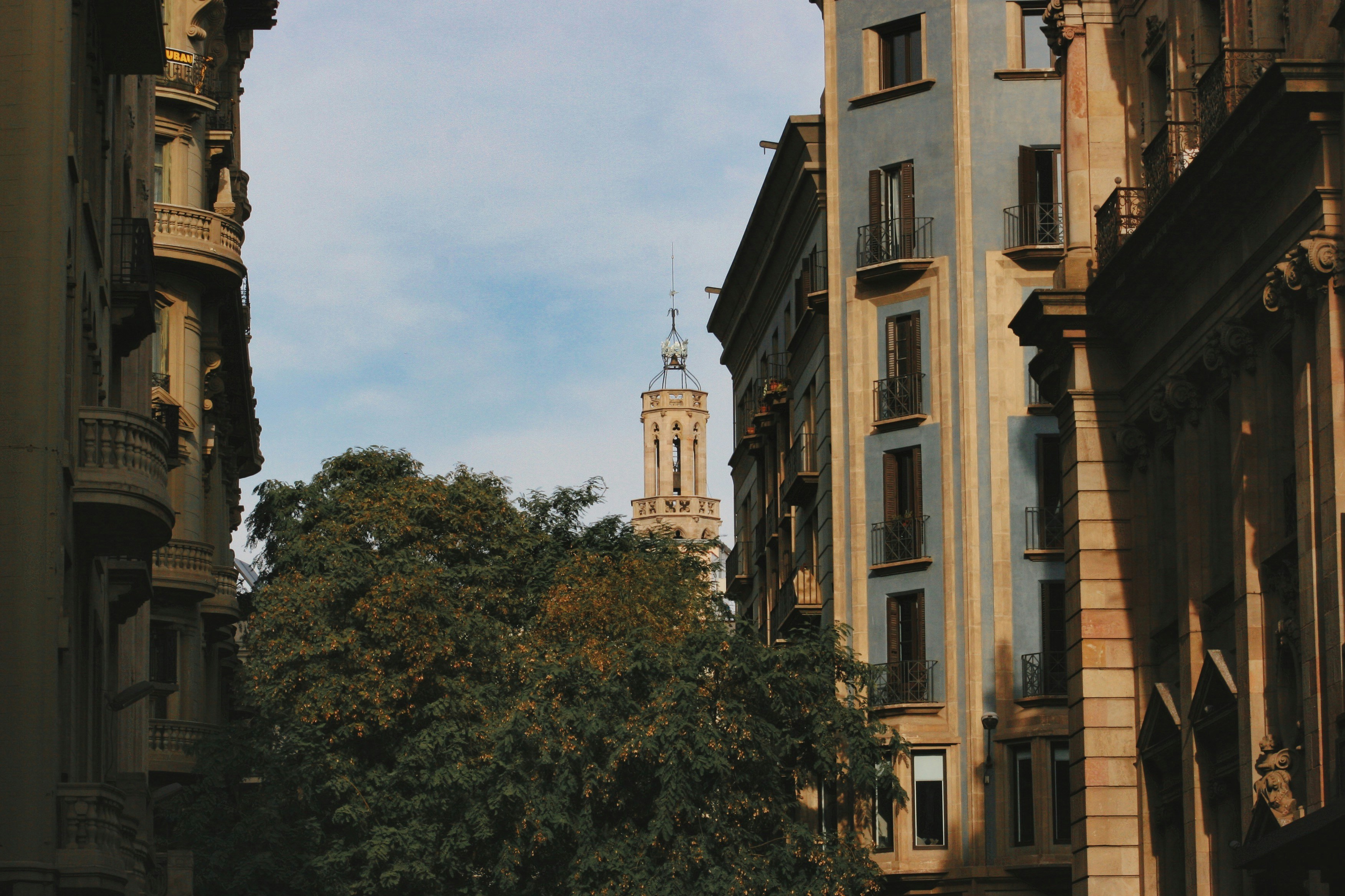 Photo by stevenvandeursen