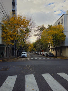 a street with cars parked on both sides of it