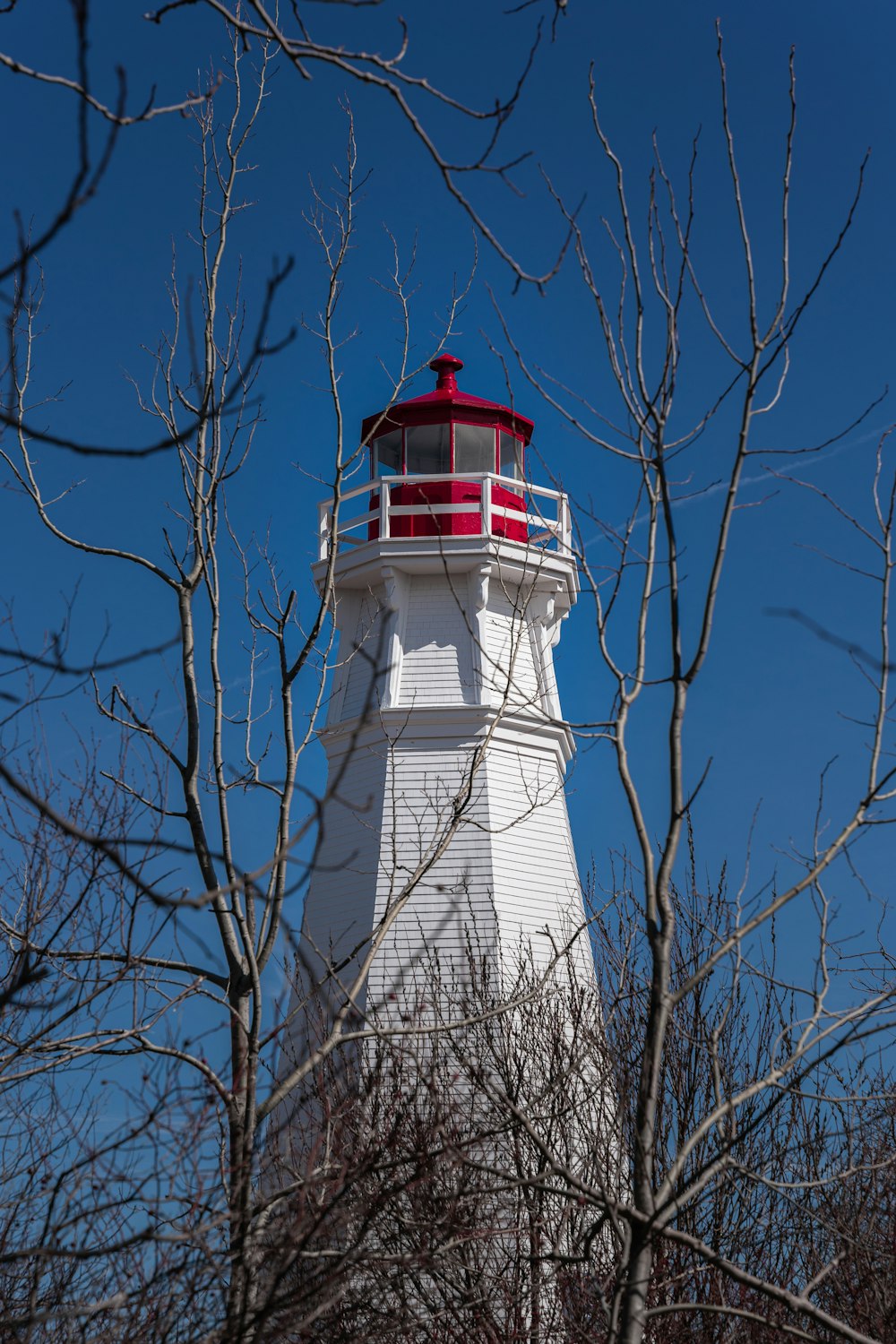 a white and red lighthouse surrounded by trees