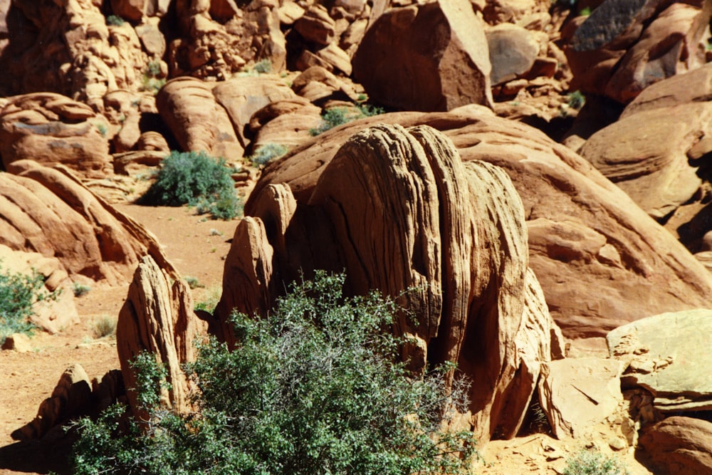 a rock formation in the middle of a desert