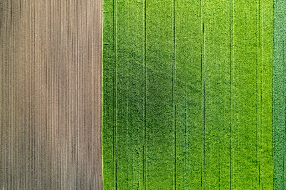 um campo verde e um campo marrom de cima