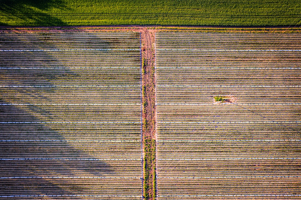 a bird's eye view of a farm field