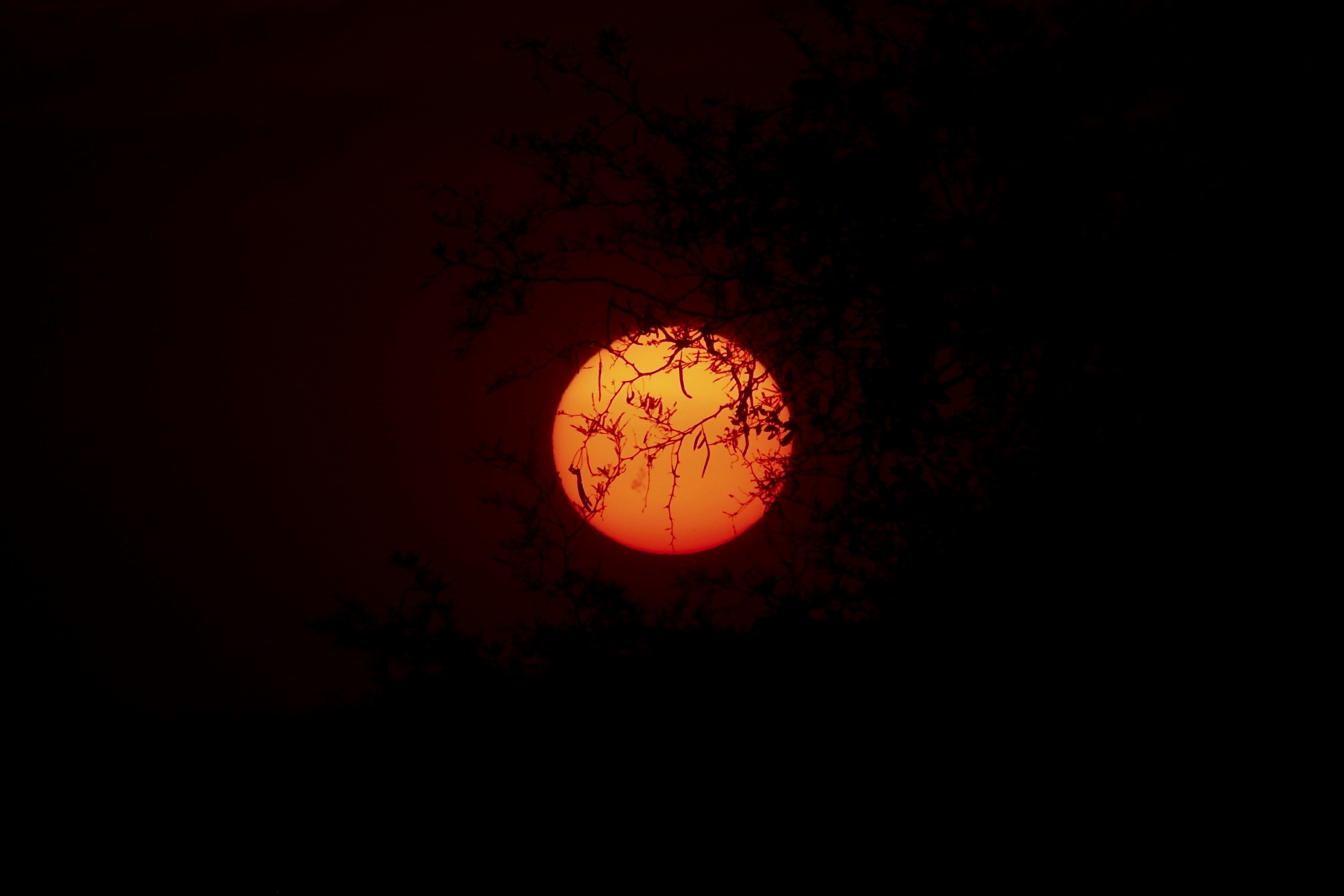 Photo by jorgeel_vm09